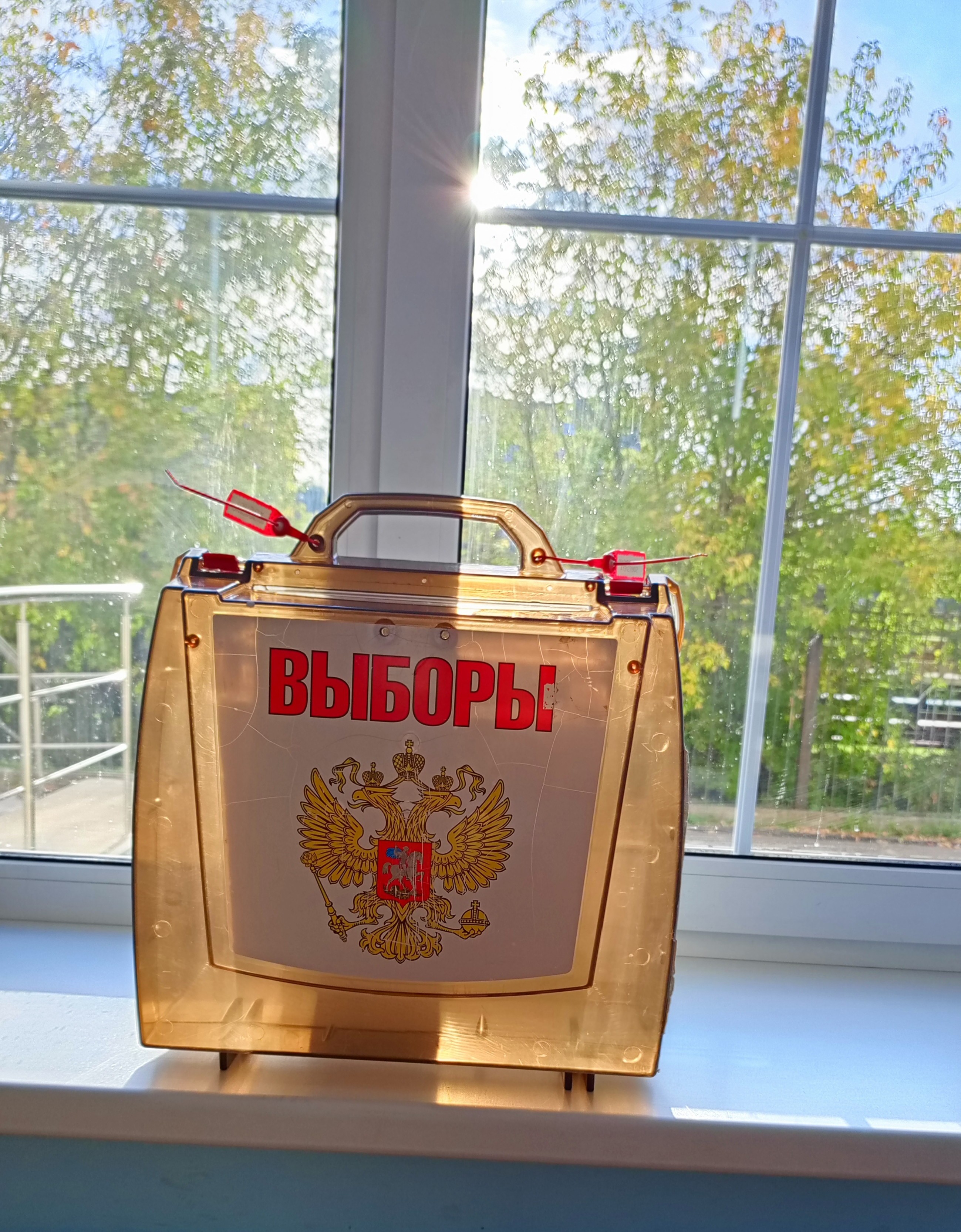 Сообщение — УИК №3094, Московская область