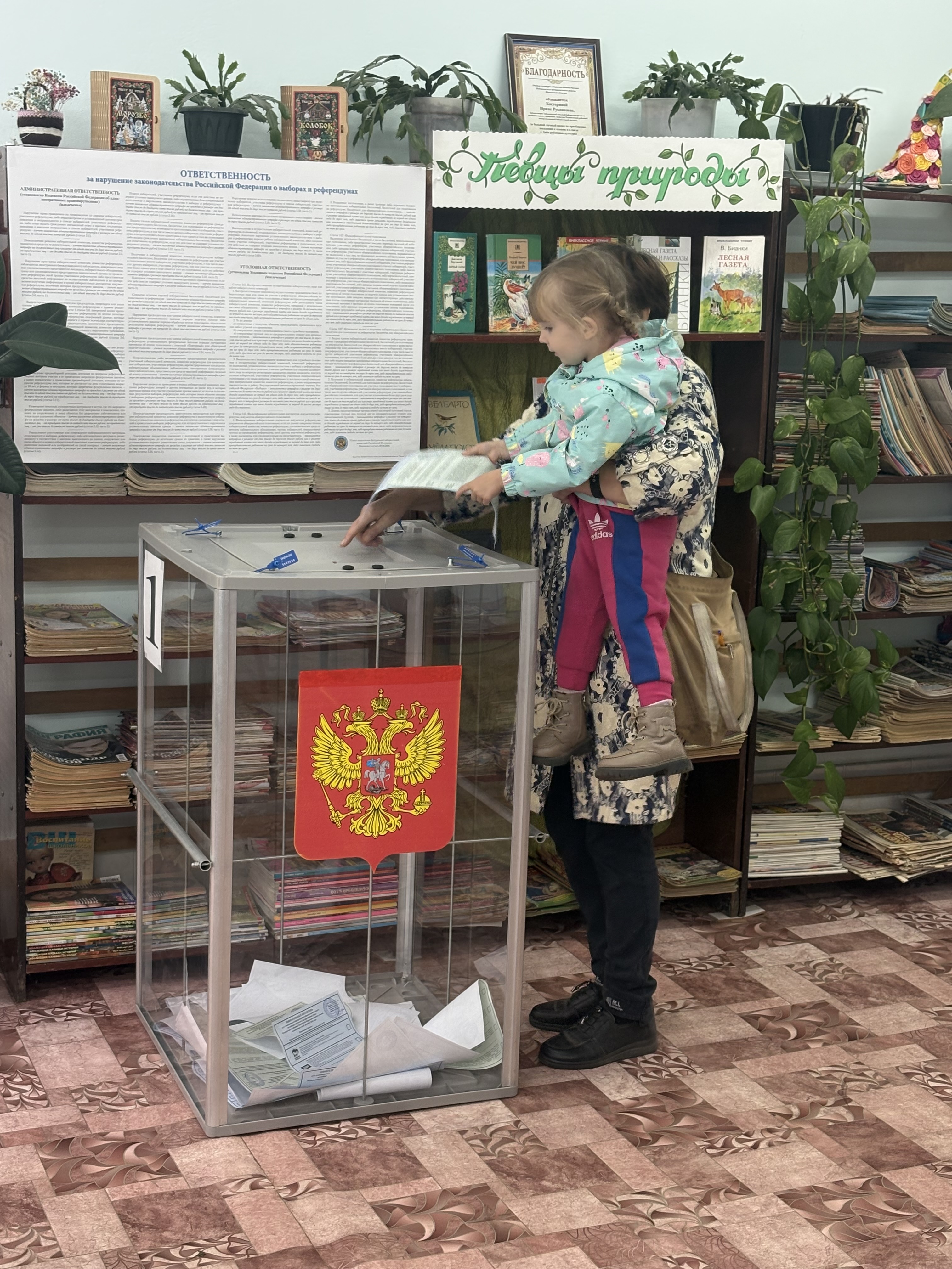 Сообщение — УИК №637, Ивановская область