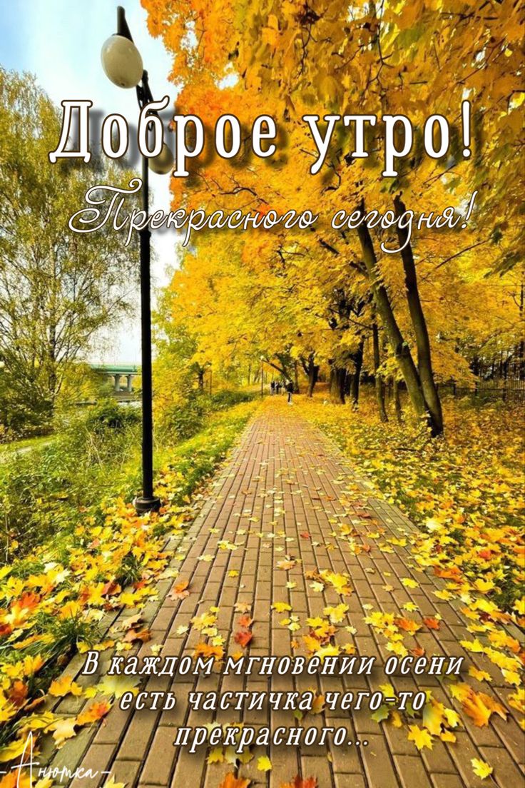 Сообщение наблюдателя — УИК №45, Томская область