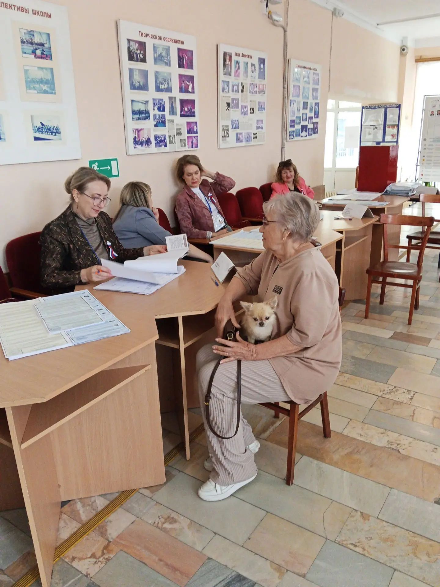 Сообщение — УИК №2046, Ростовская область