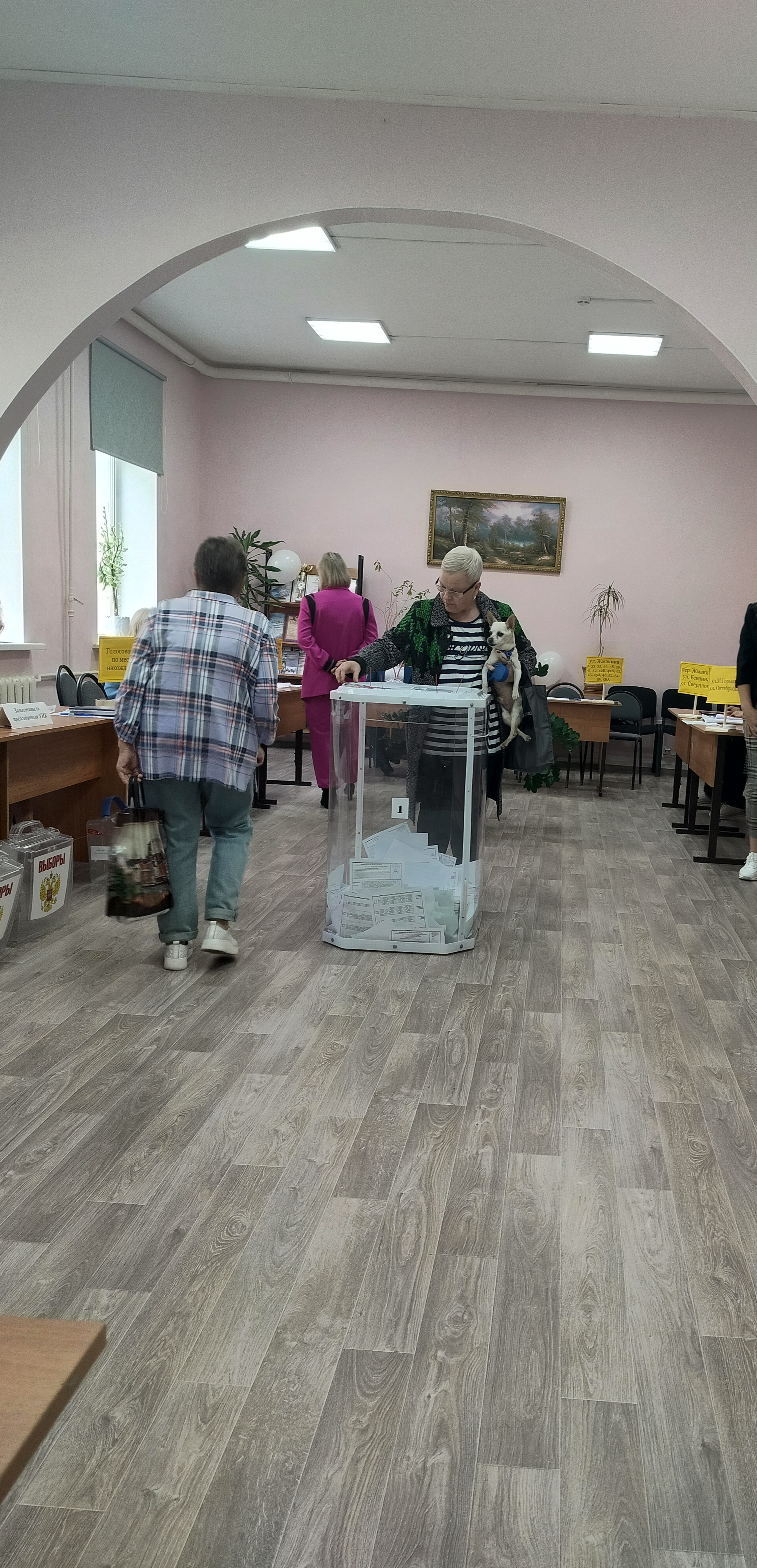 Сообщение наблюдателя — УИК №1209, Калужская область