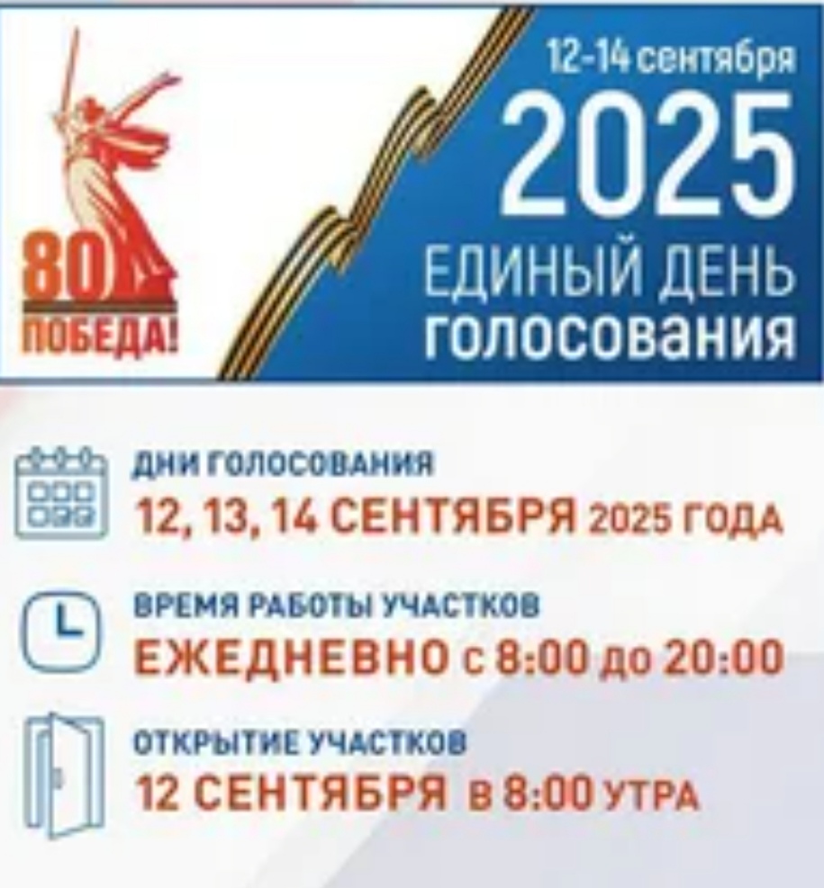 Сообщение наблюдателя — УИК №2503, Липецкая область