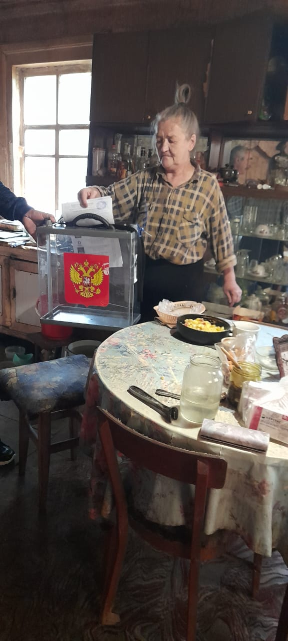 Сообщение наблюдателя — УИК №463, Псковская область