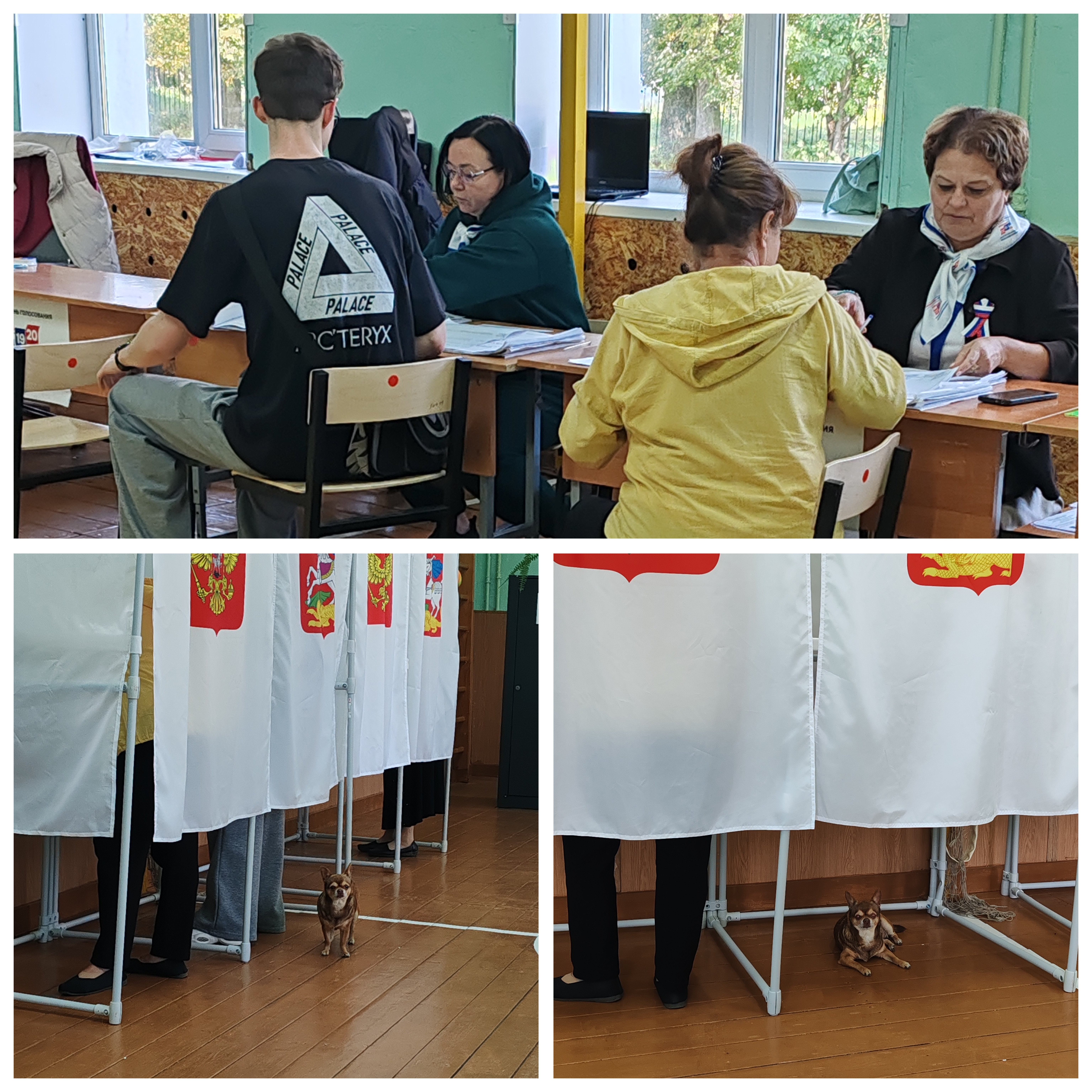 Сообщение — УИК №854, Московская область