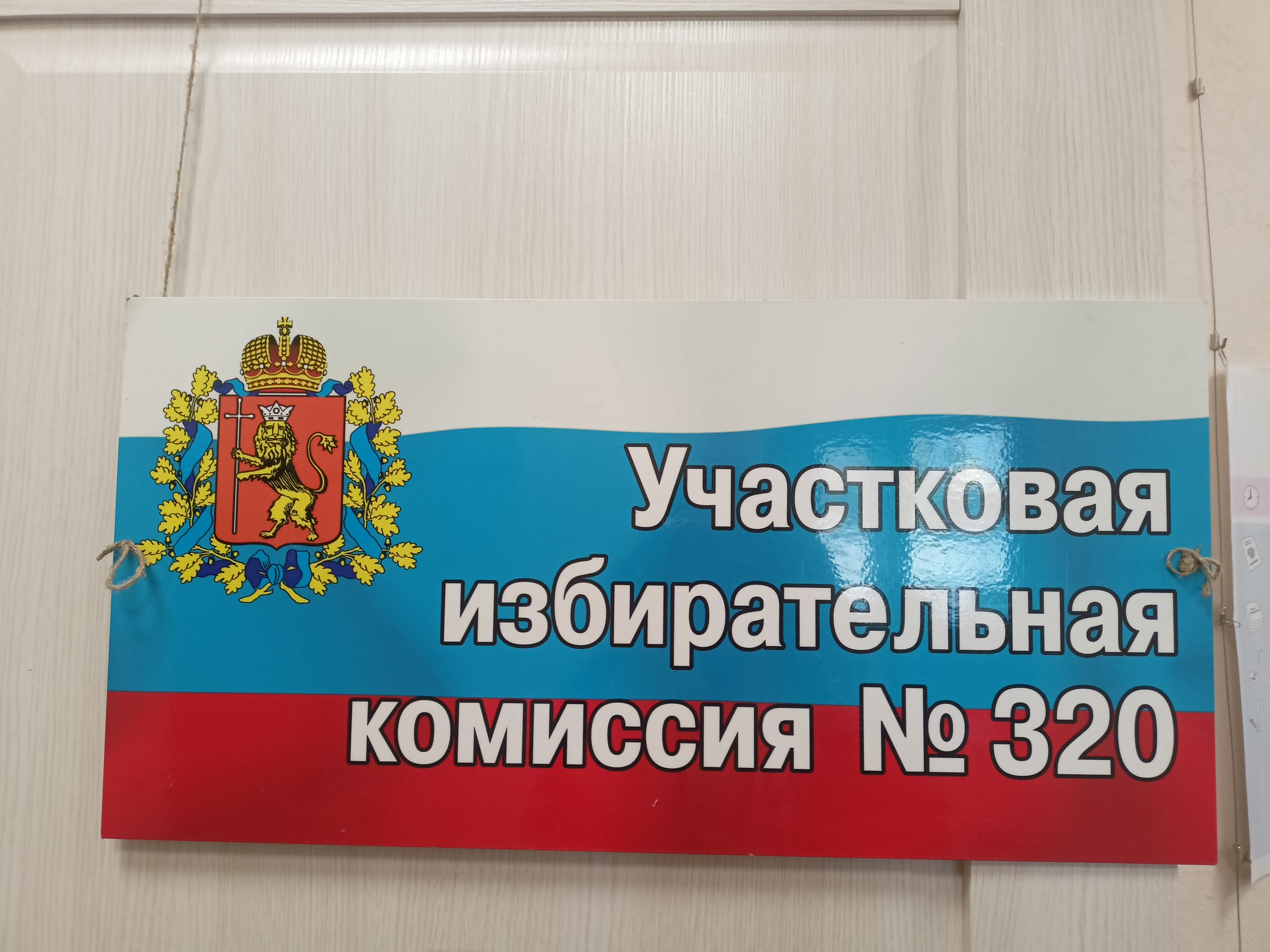 Сообщение наблюдателя — УИК №320, Владимирская область