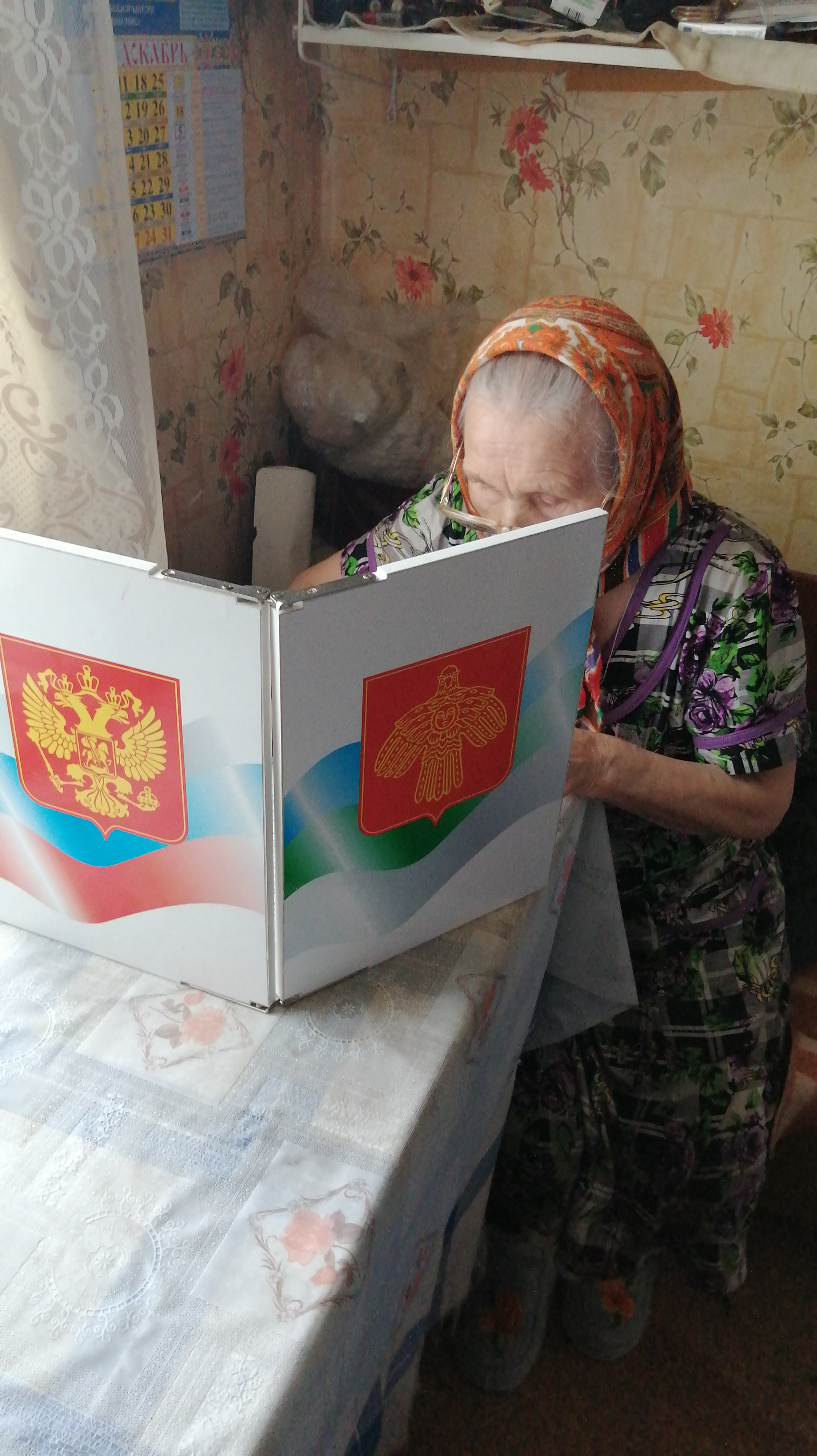 Сообщение наблюдателя — УИК №539, Республика Коми