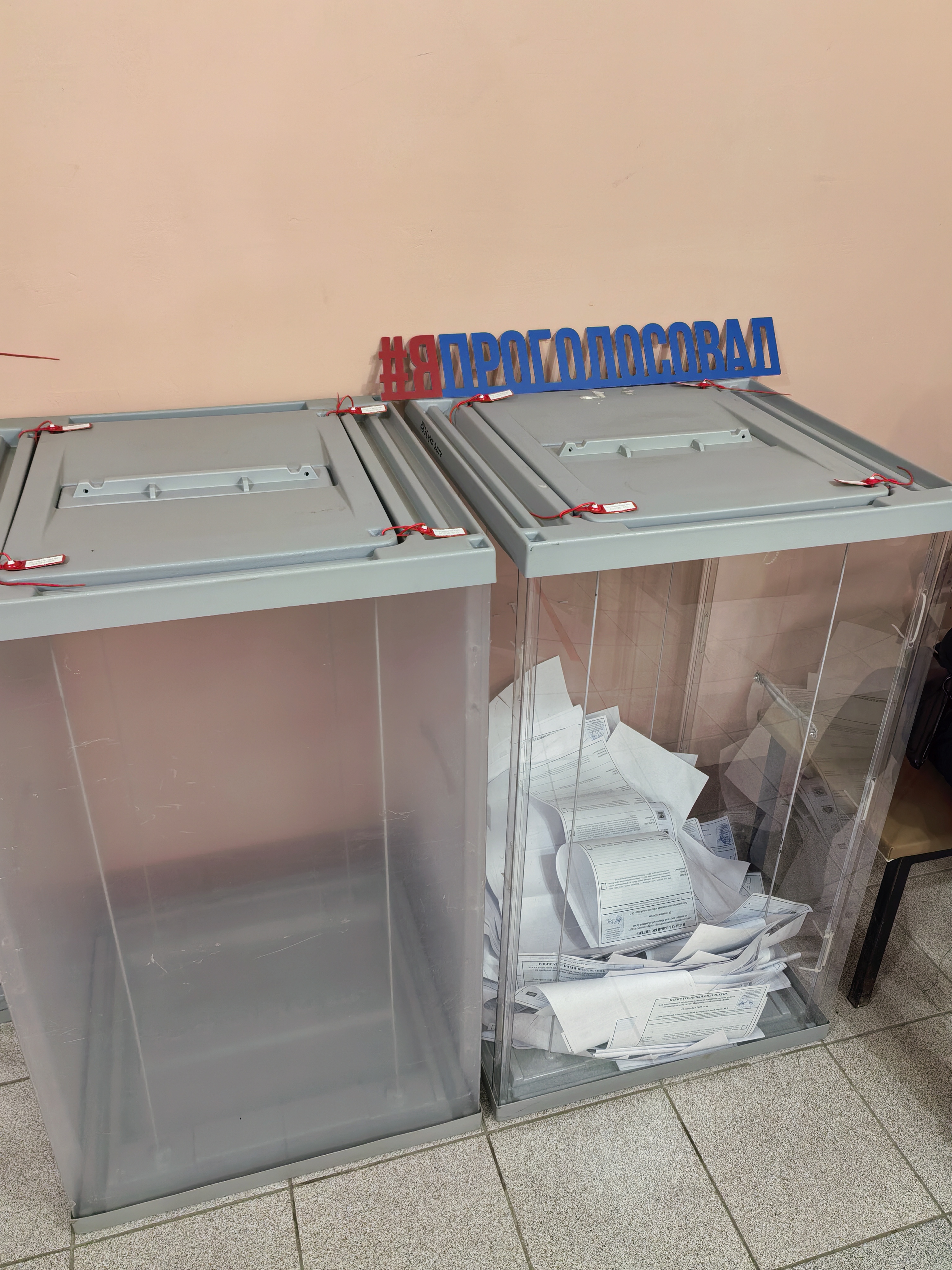 Сообщение — УИК №289, Московская область