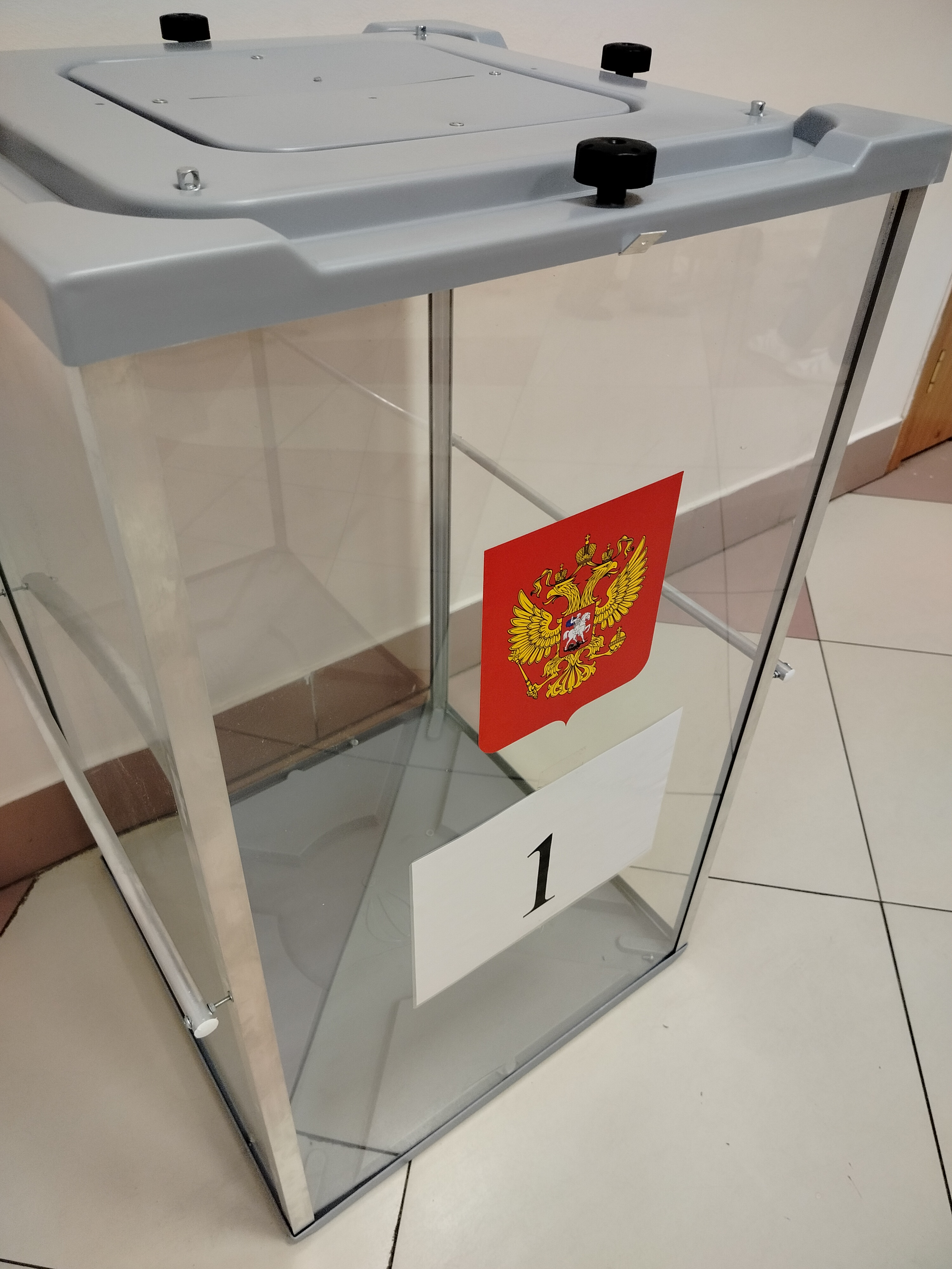 Сообщение — УИК №60, Московская область