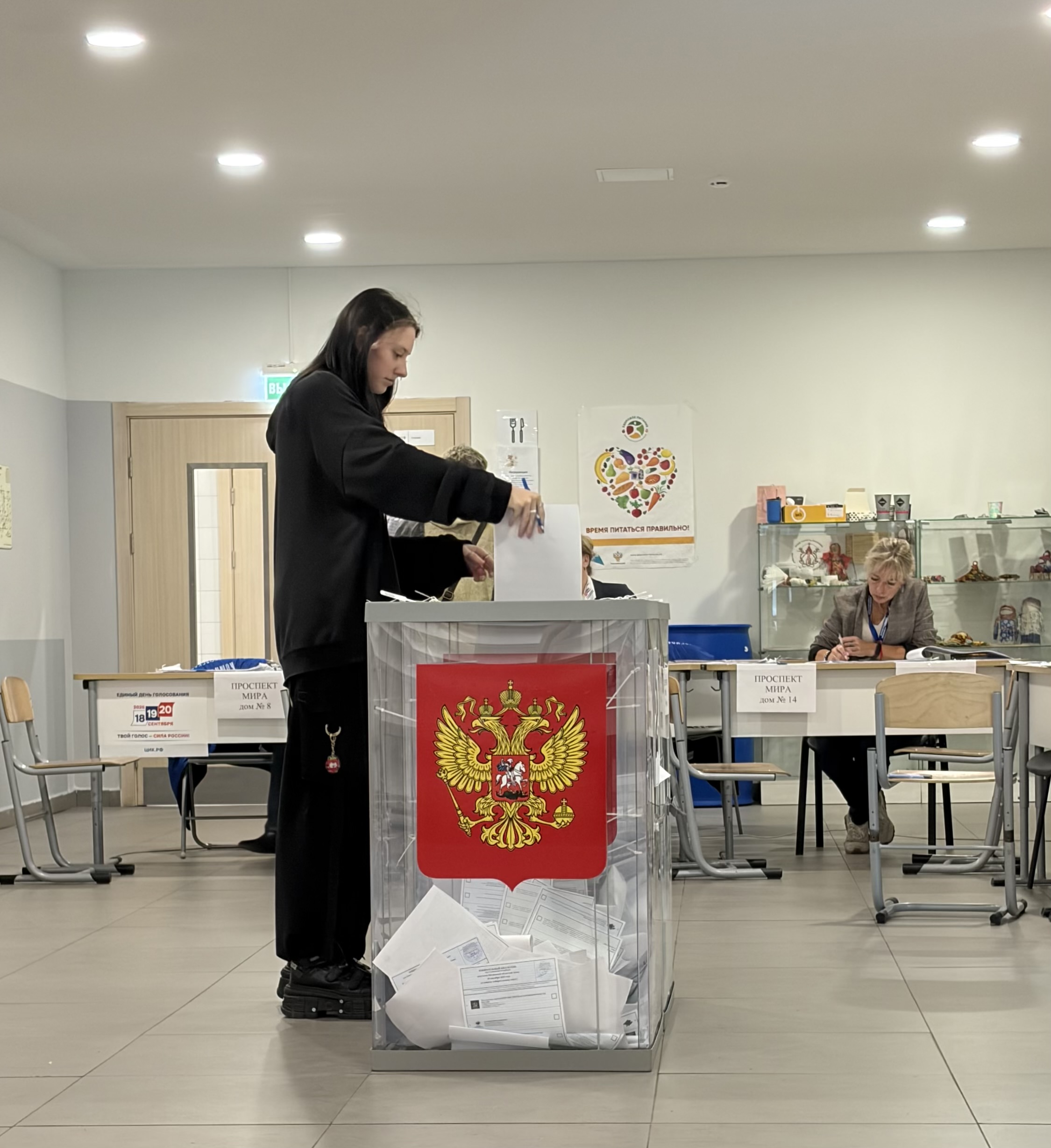 Сообщение — УИК №3133, Московская область
