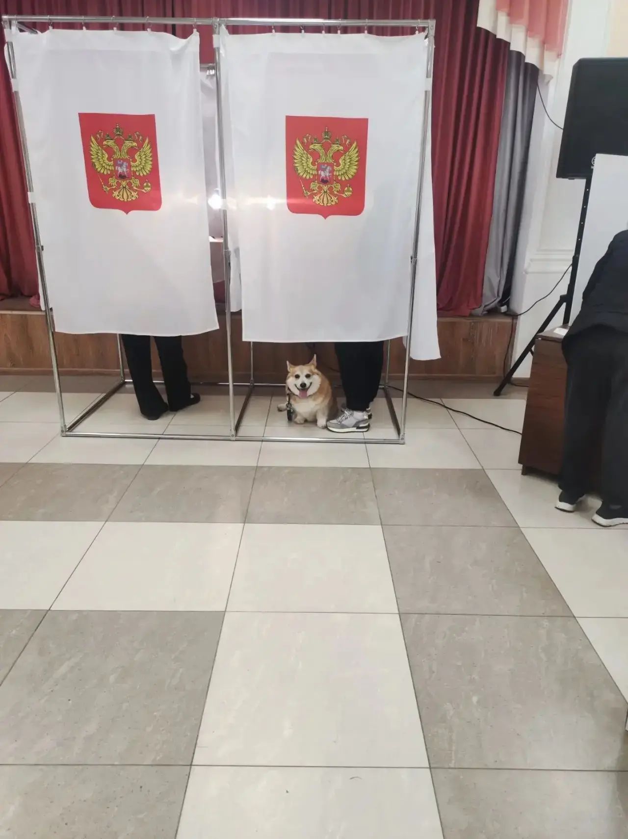 Сообщение — УИК №2612, Московская область