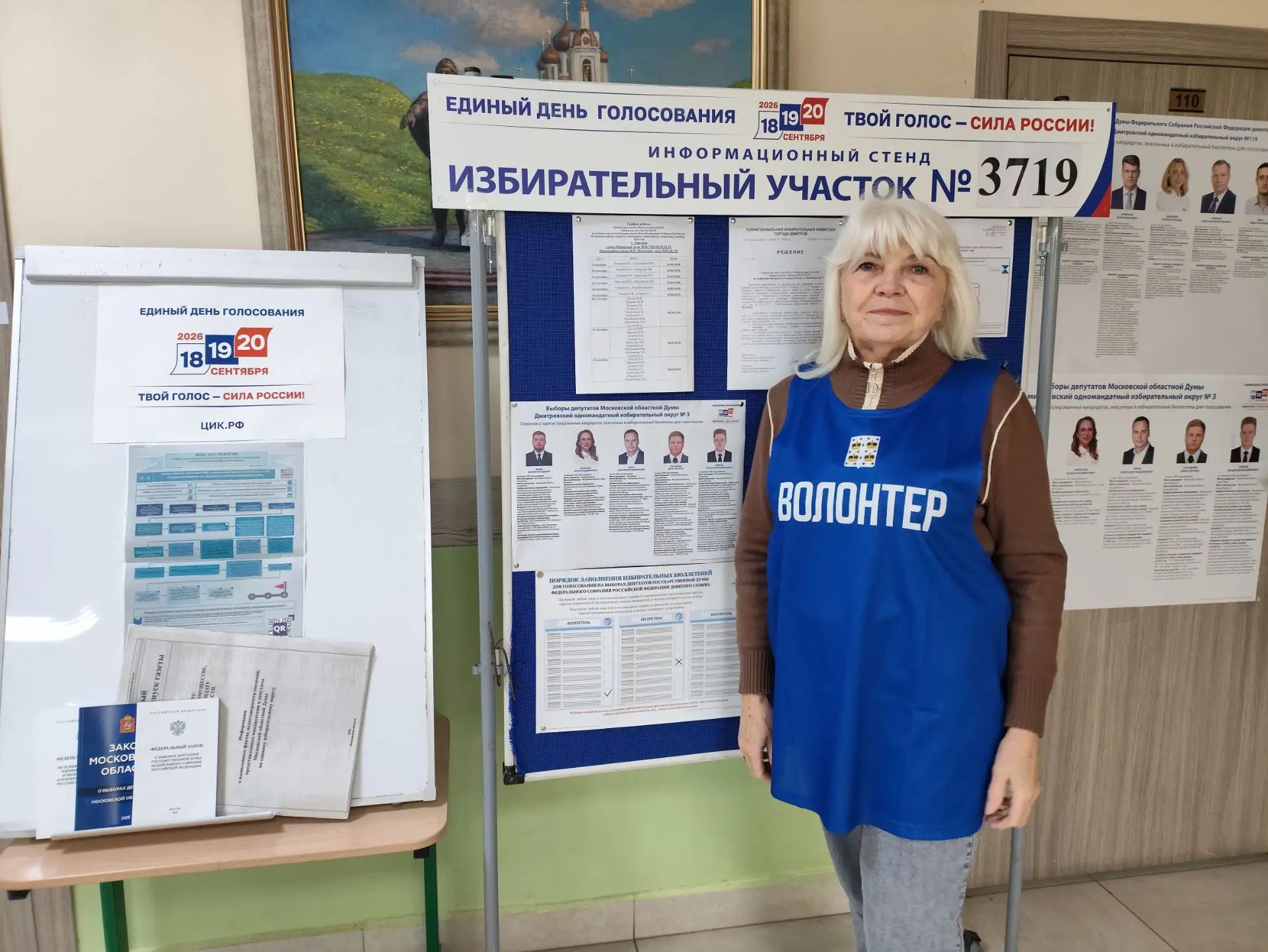 Сообщение — УИК №3719, Московская область