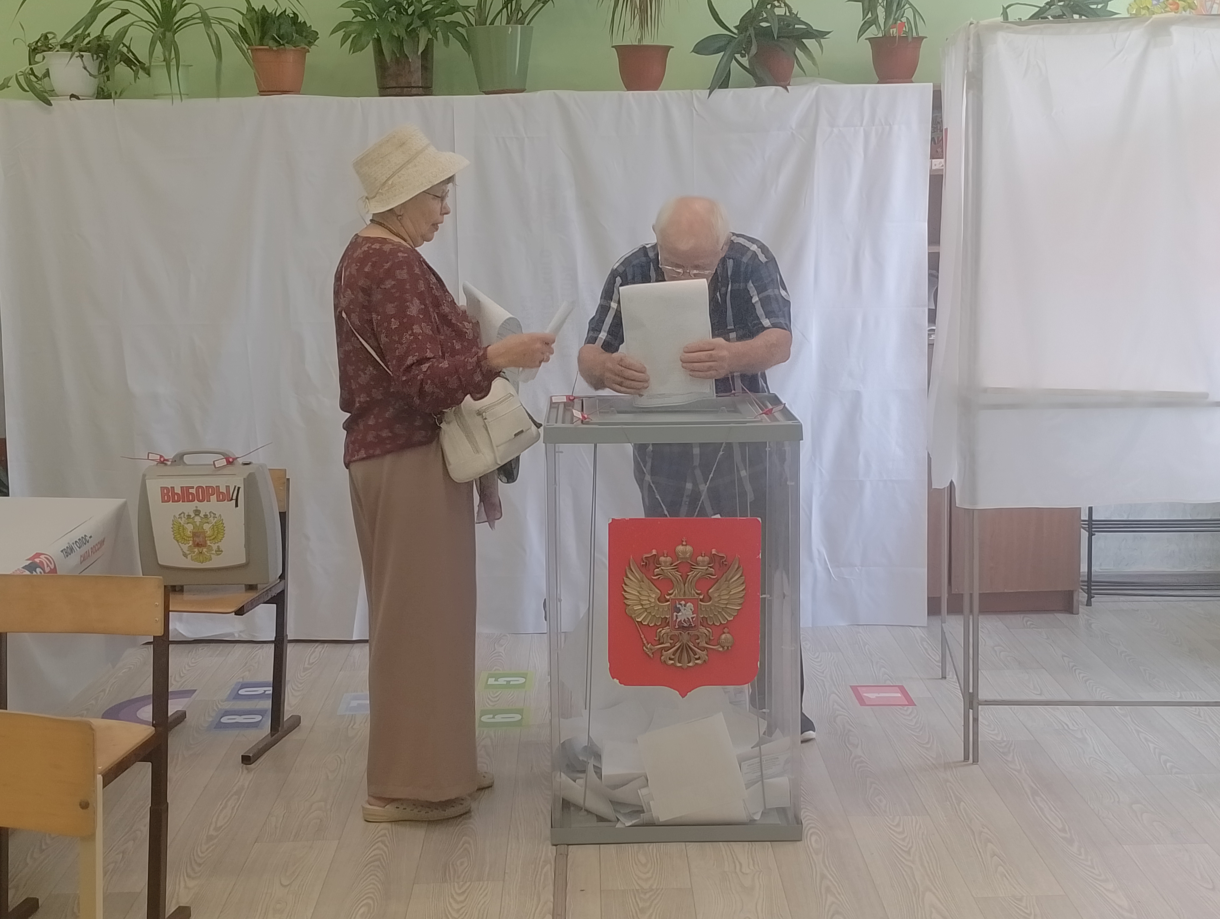 Сообщение — УИК №4428, Краснодарский край