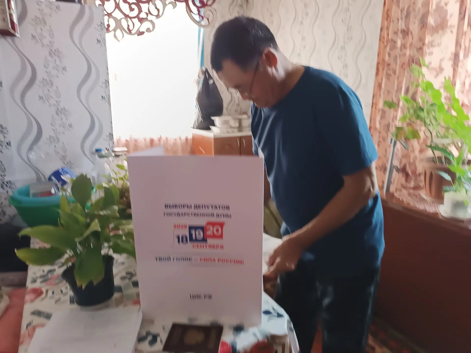 Сообщение — УИК №349, Новосибирская область