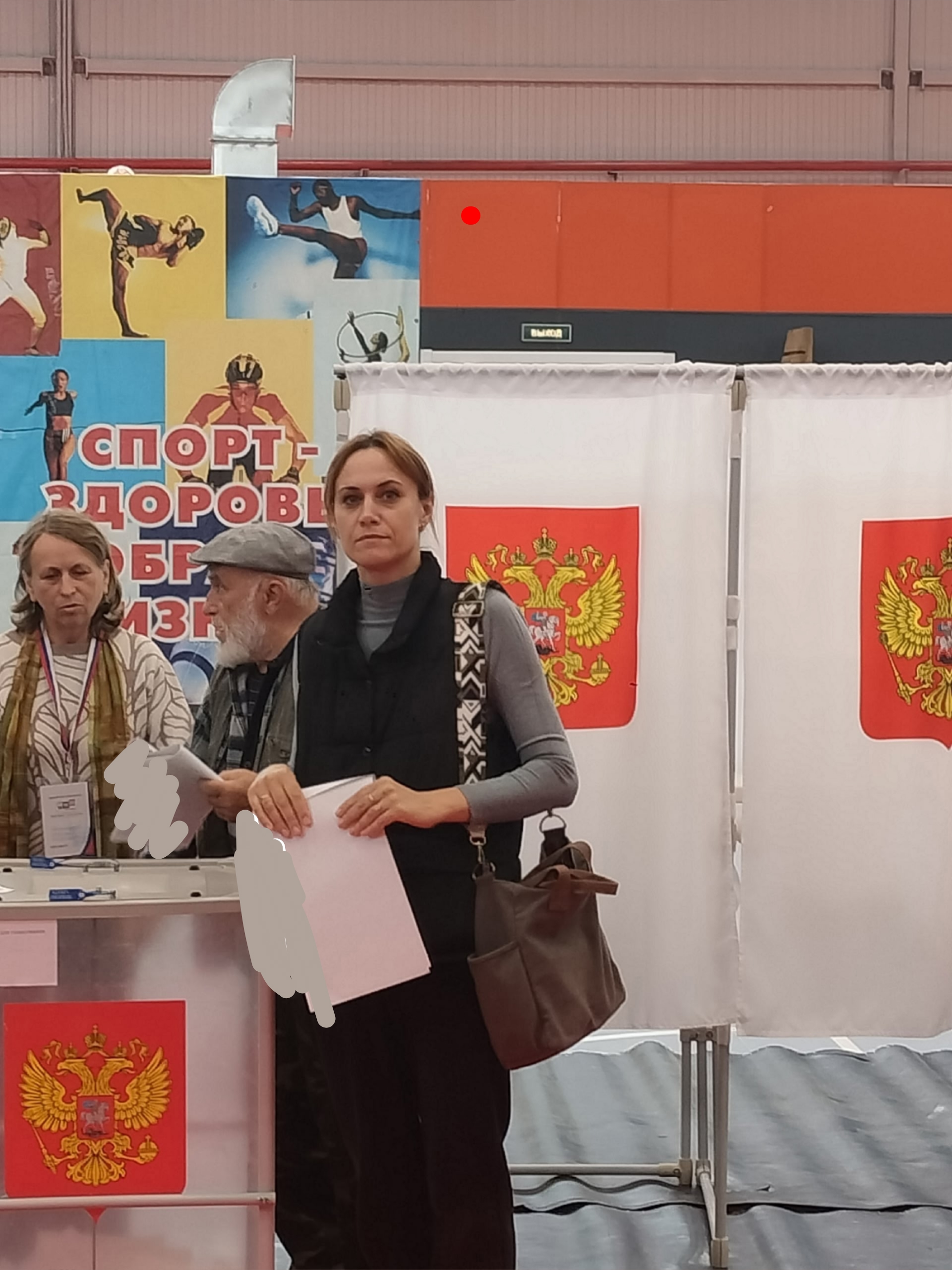 Сообщение — УИК №743, Ленинградская область