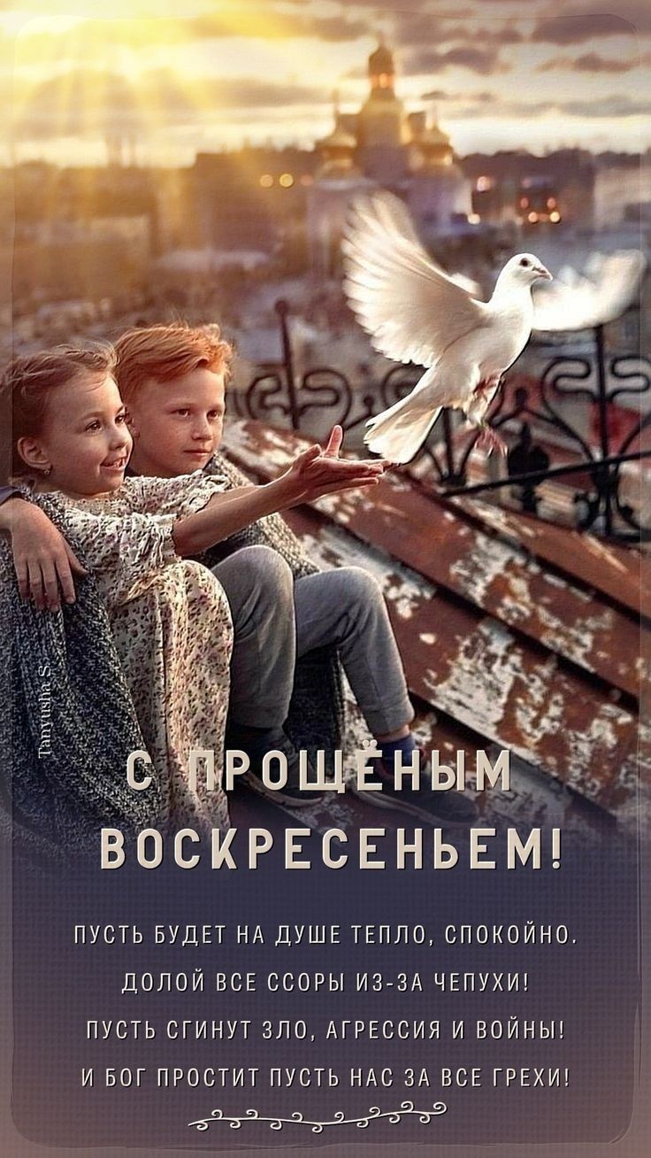 Сообщение наблюдателя — УИК №1203, Нижегородская область