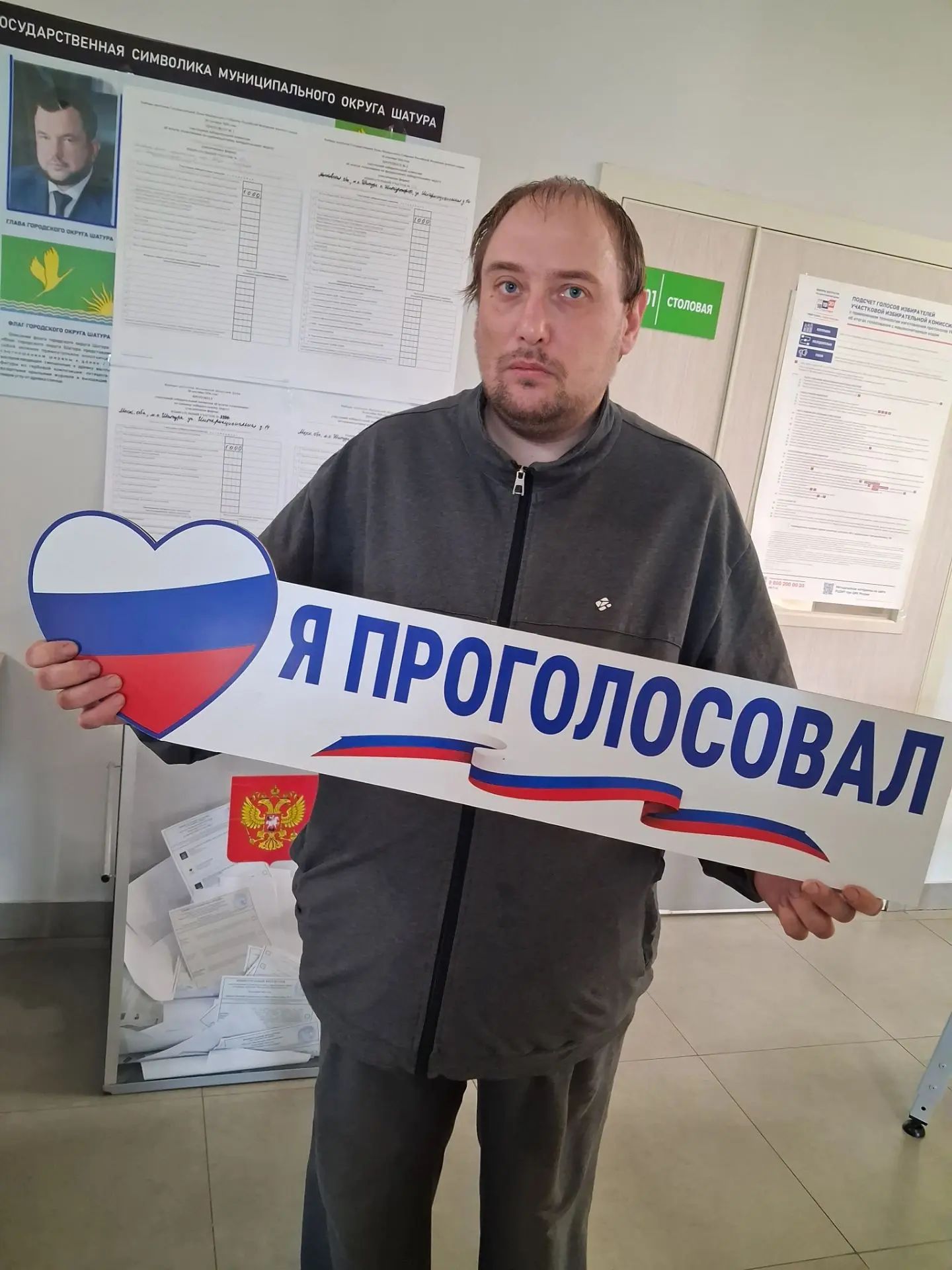 Сообщение — УИК №3336, Московская область