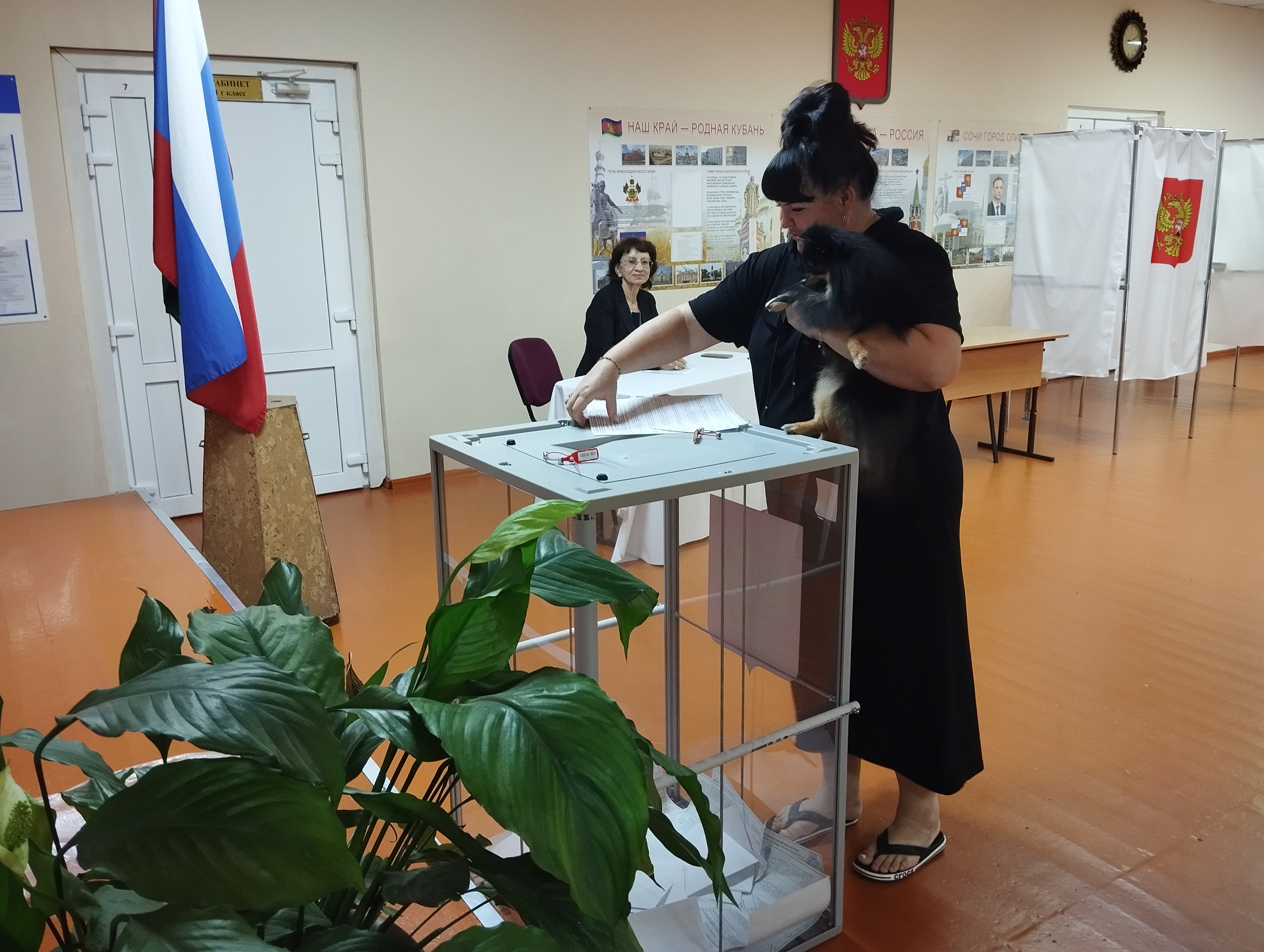 Сообщение наблюдателя — УИК №4423, Краснодарский край