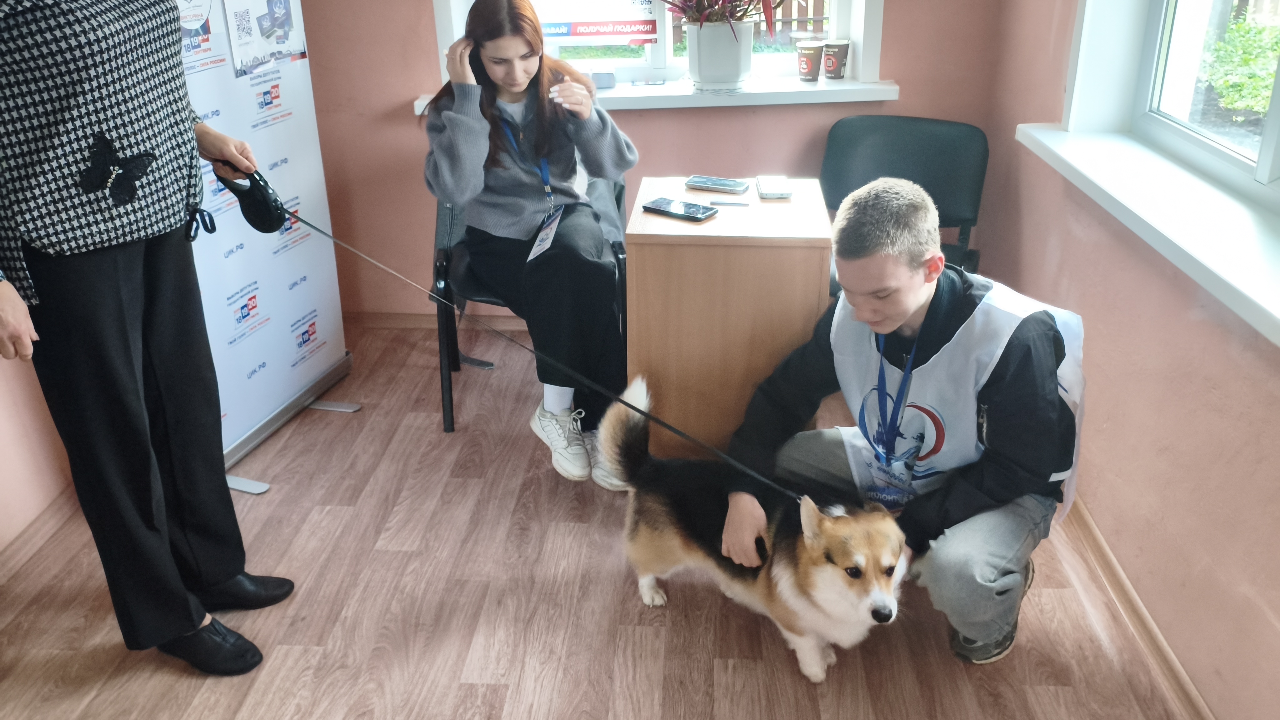 Сообщение — УИК №1347, Тульская область