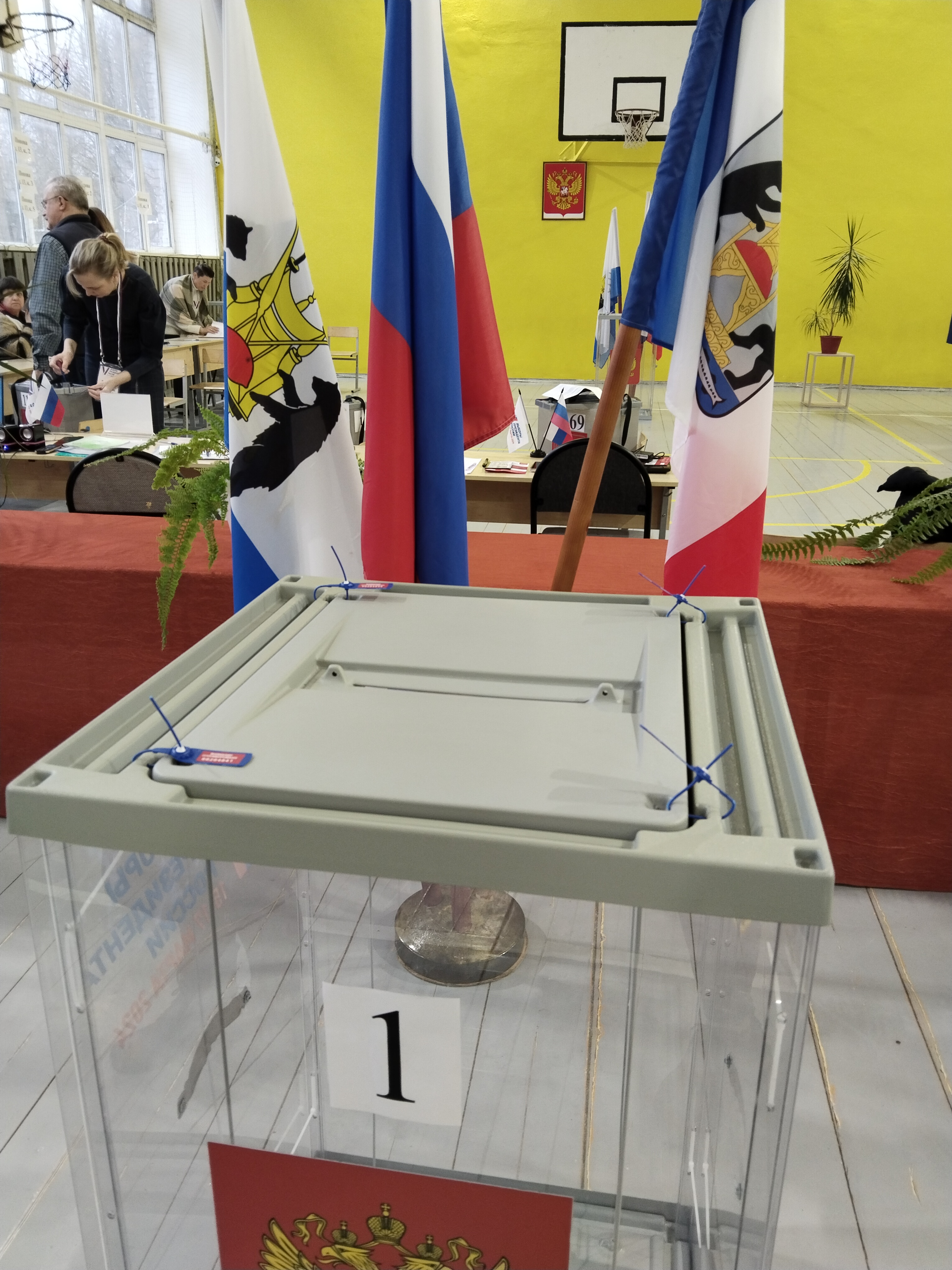 Сообщение наблюдателя — УИК №1170, Новгородская область