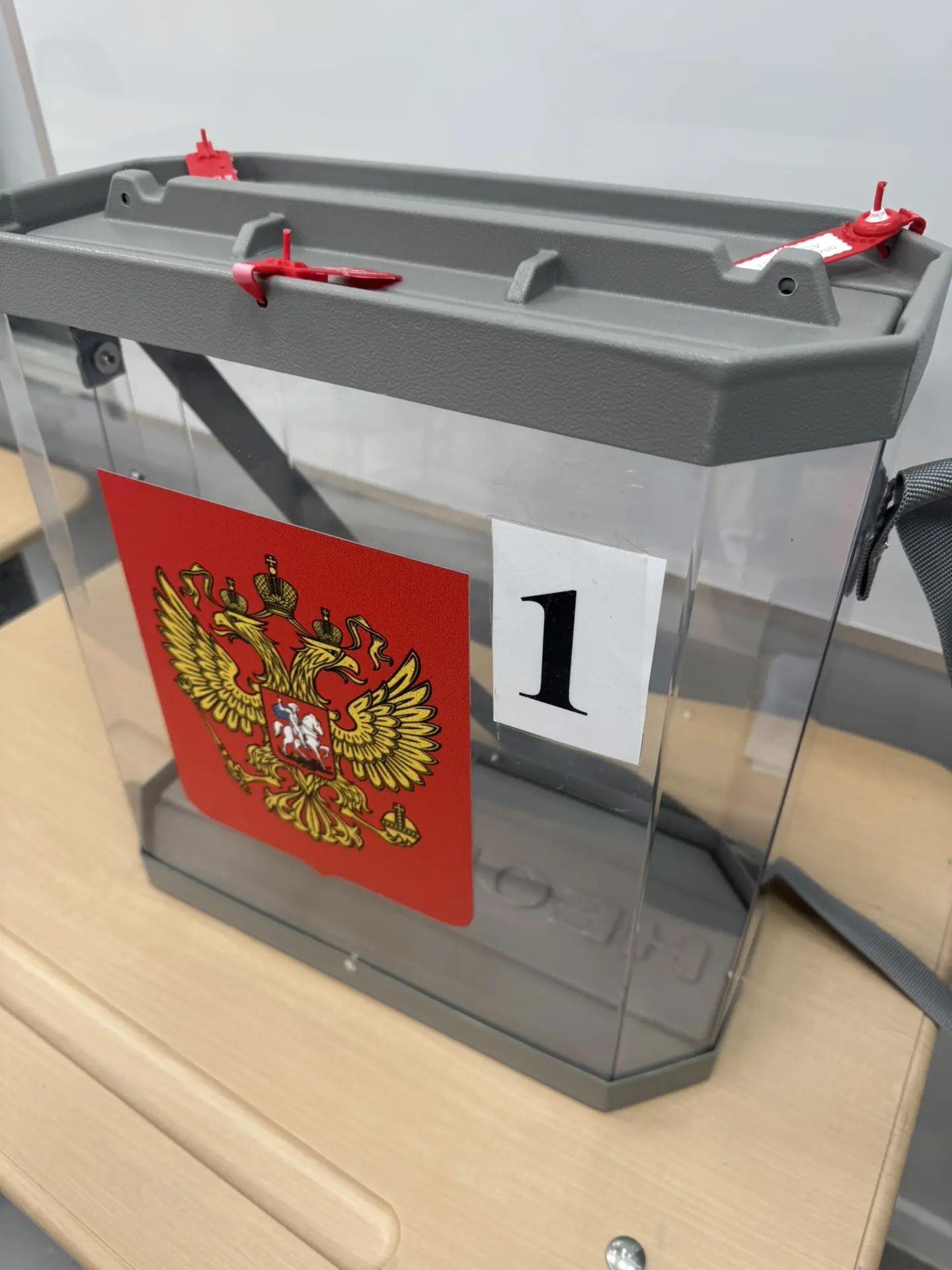Сообщение — УИК №4116, Московская область