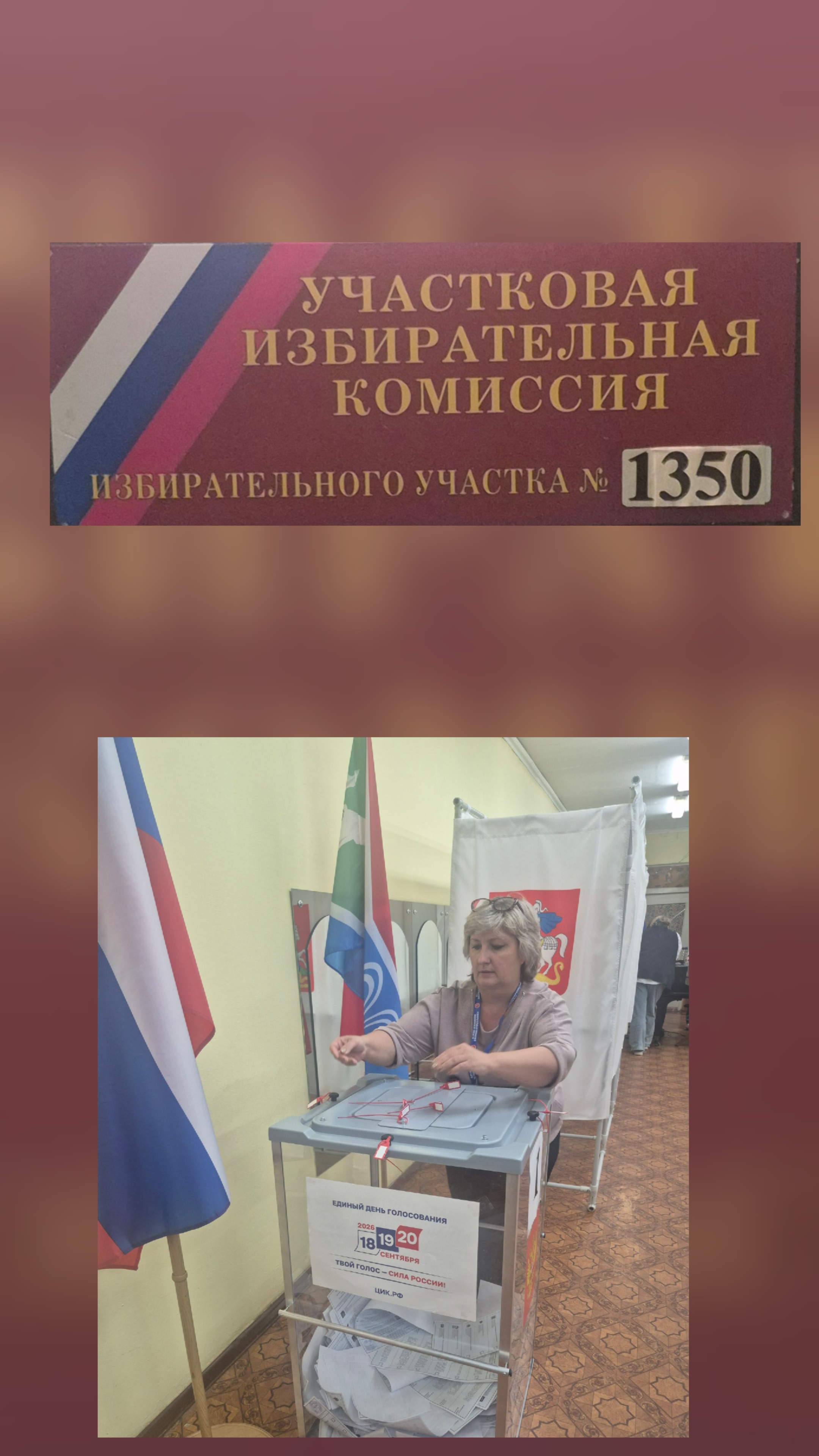 Сообщение — УИК №1350, Московская область