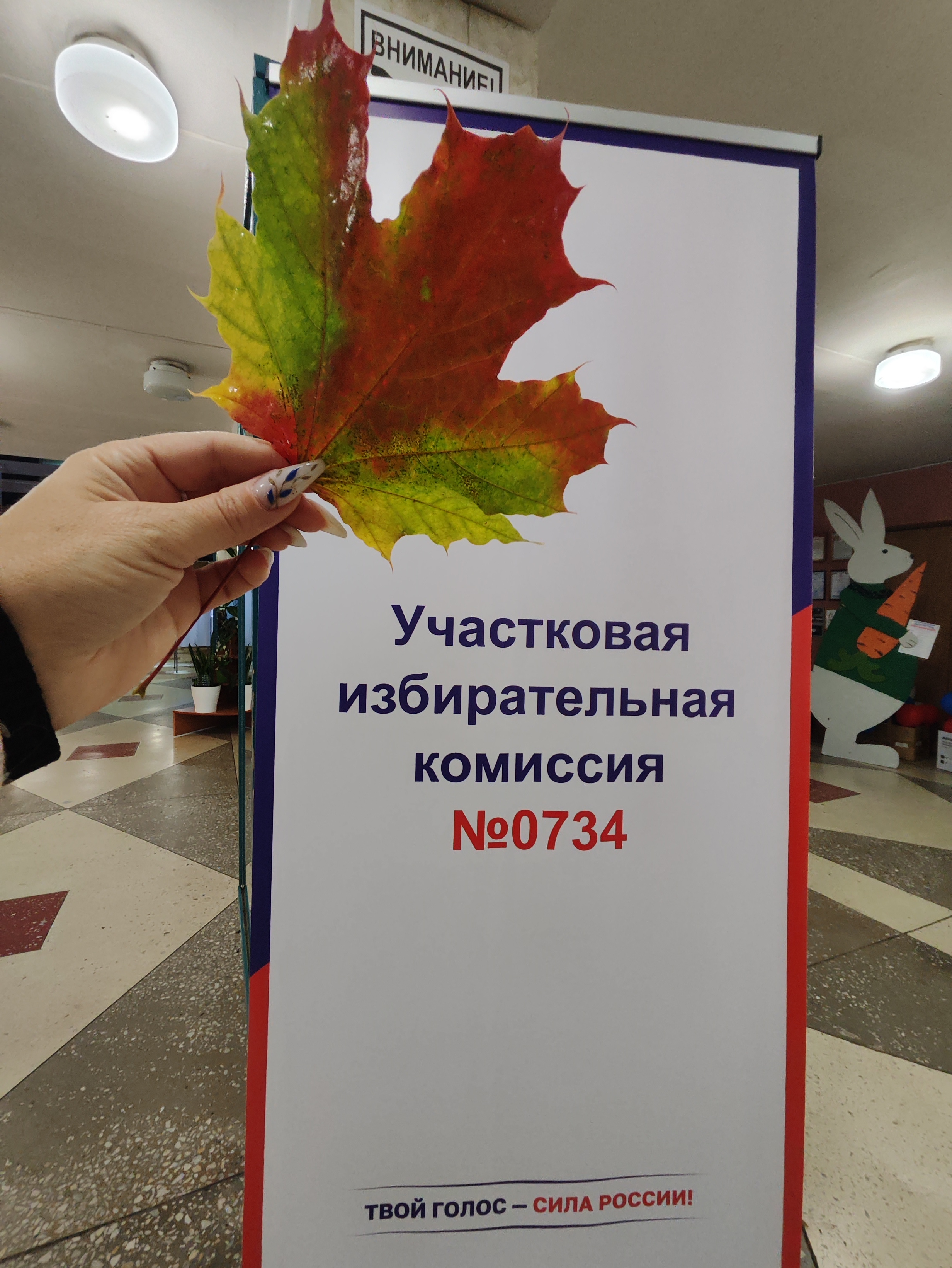 Сообщение — УИК №734, Калужская область