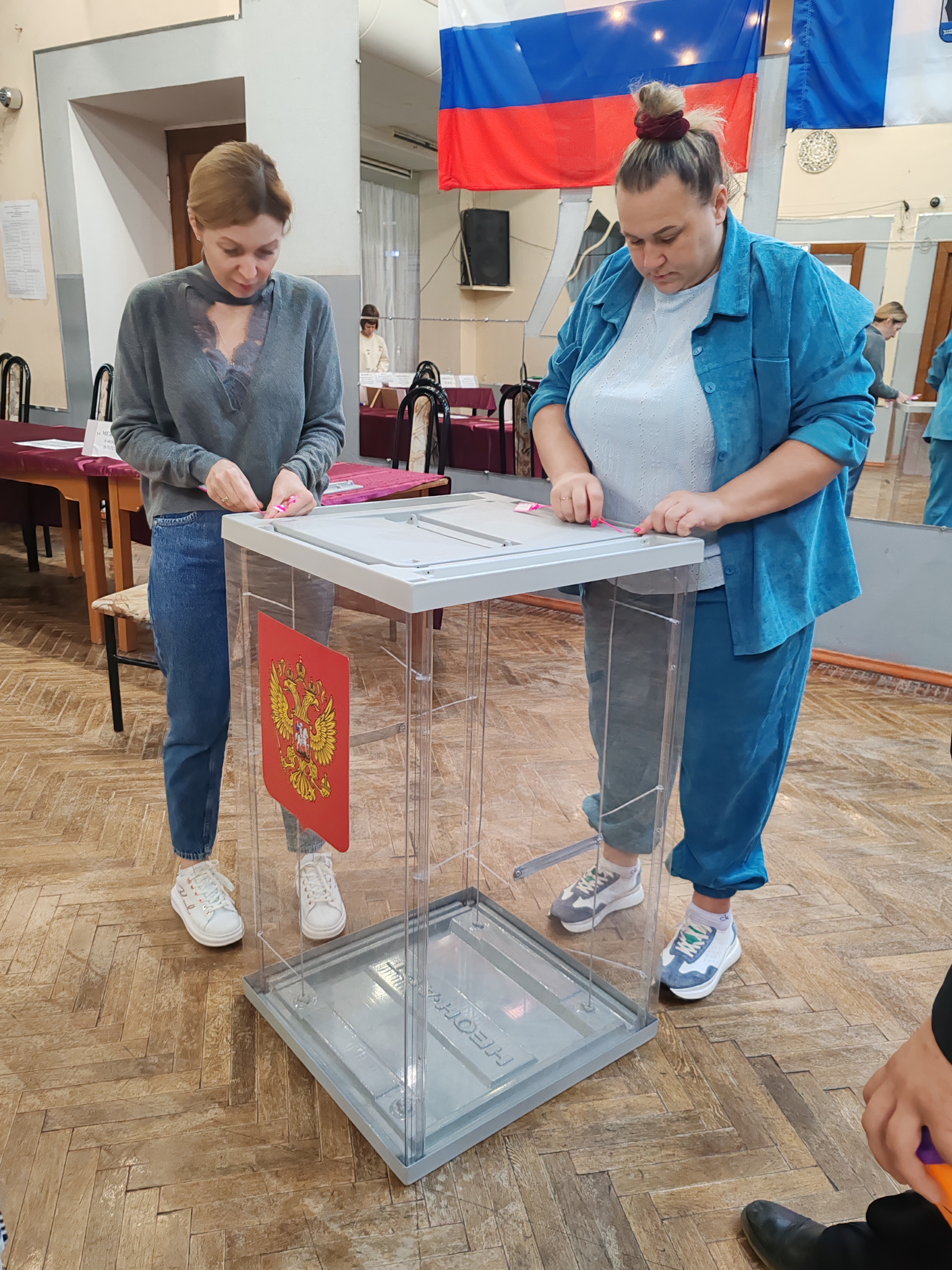Сообщение наблюдателя — УИК №227, Новгородская область