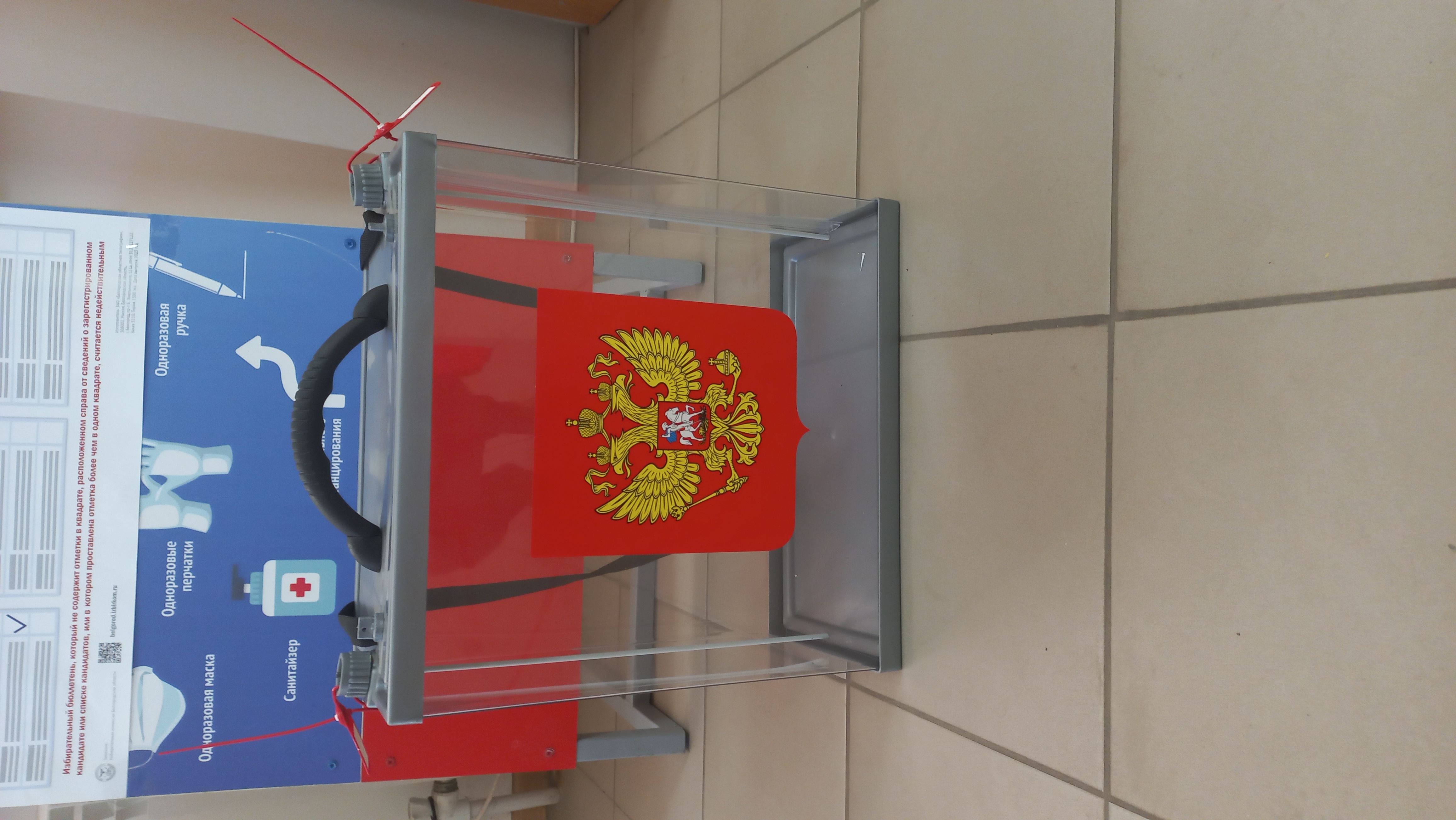 Сообщение наблюдателя — УИК №508, Белгородская область