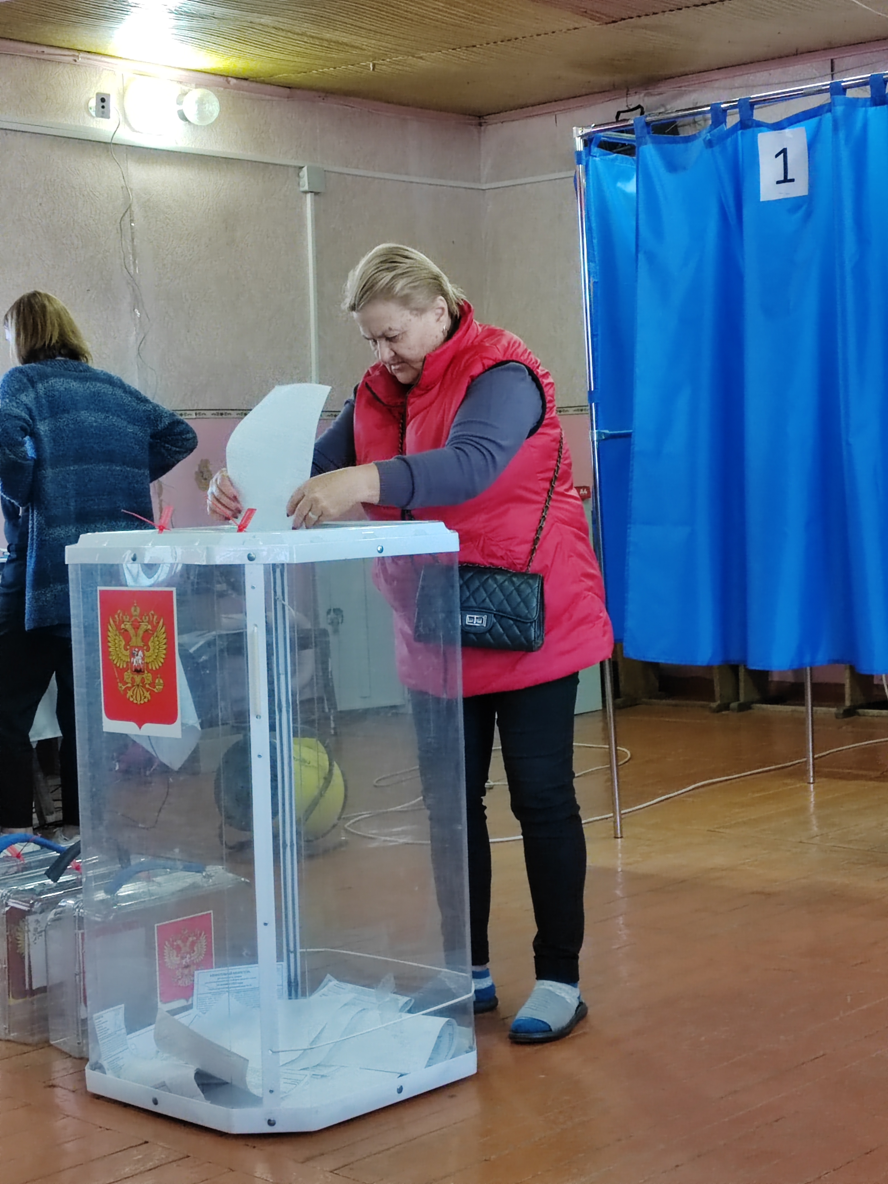 Сообщение наблюдателя — УИК №2718, Воронежская область