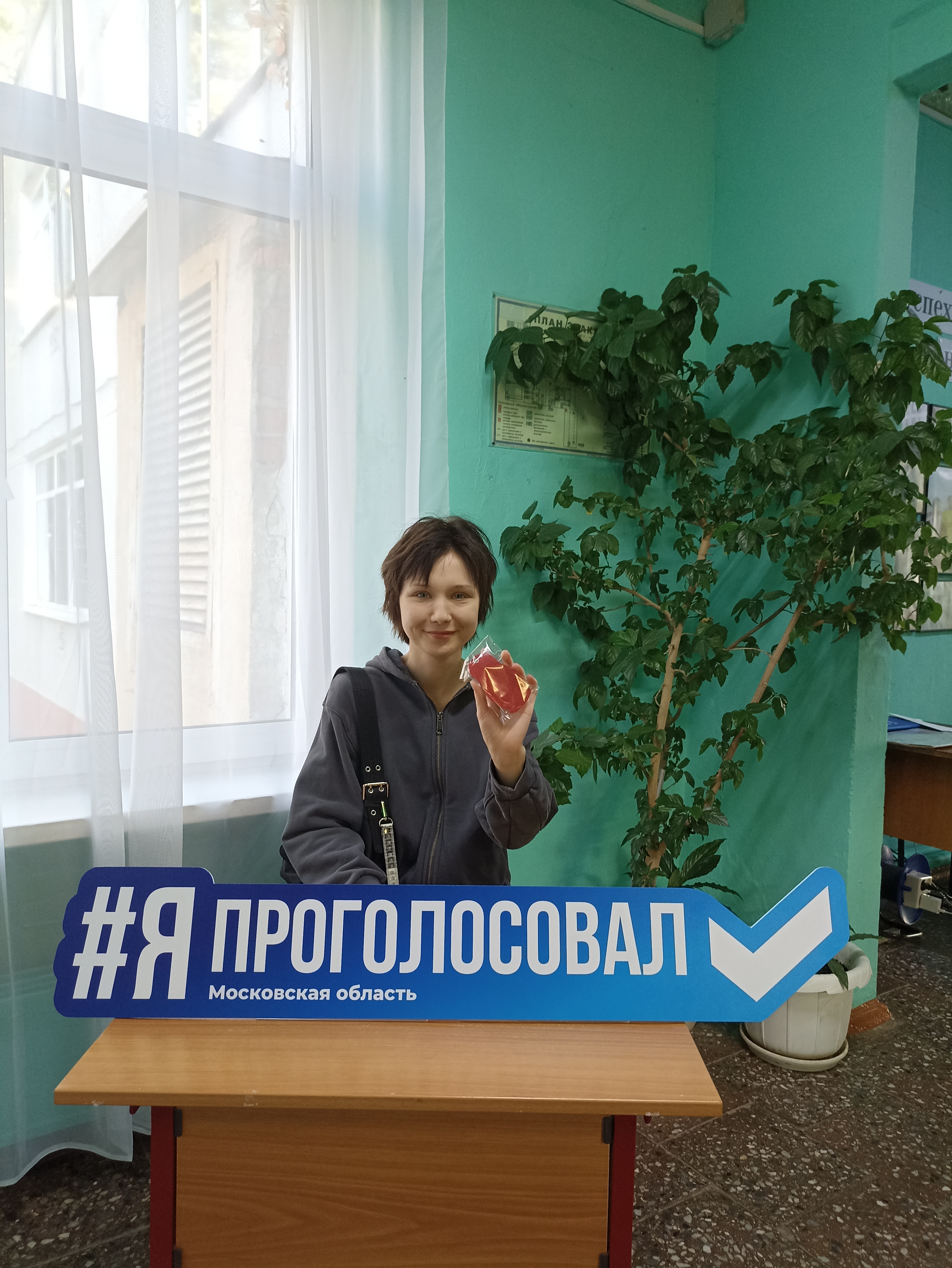Сообщение — УИК №3300, Московская область