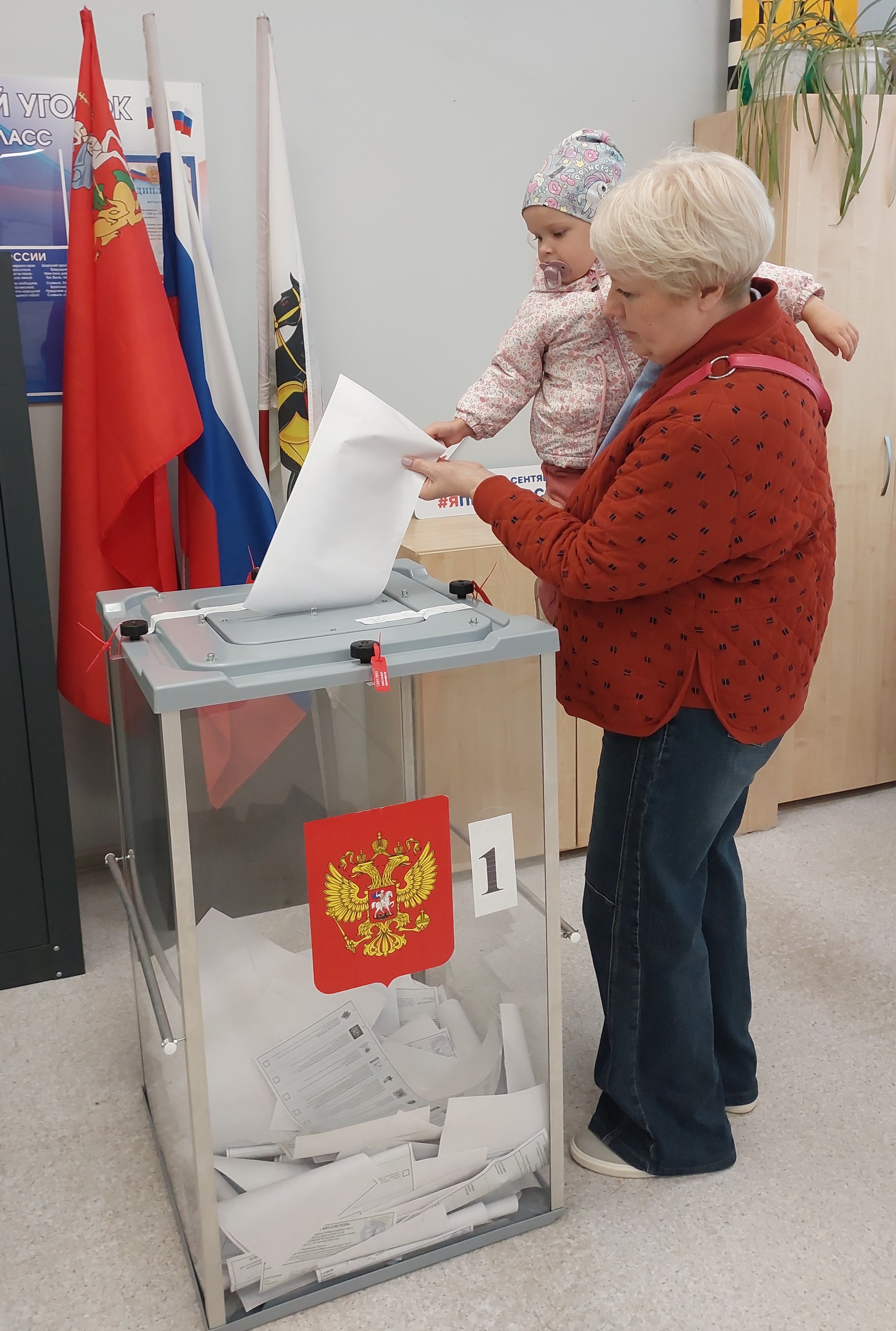 Сообщение — УИК №855, Московская область