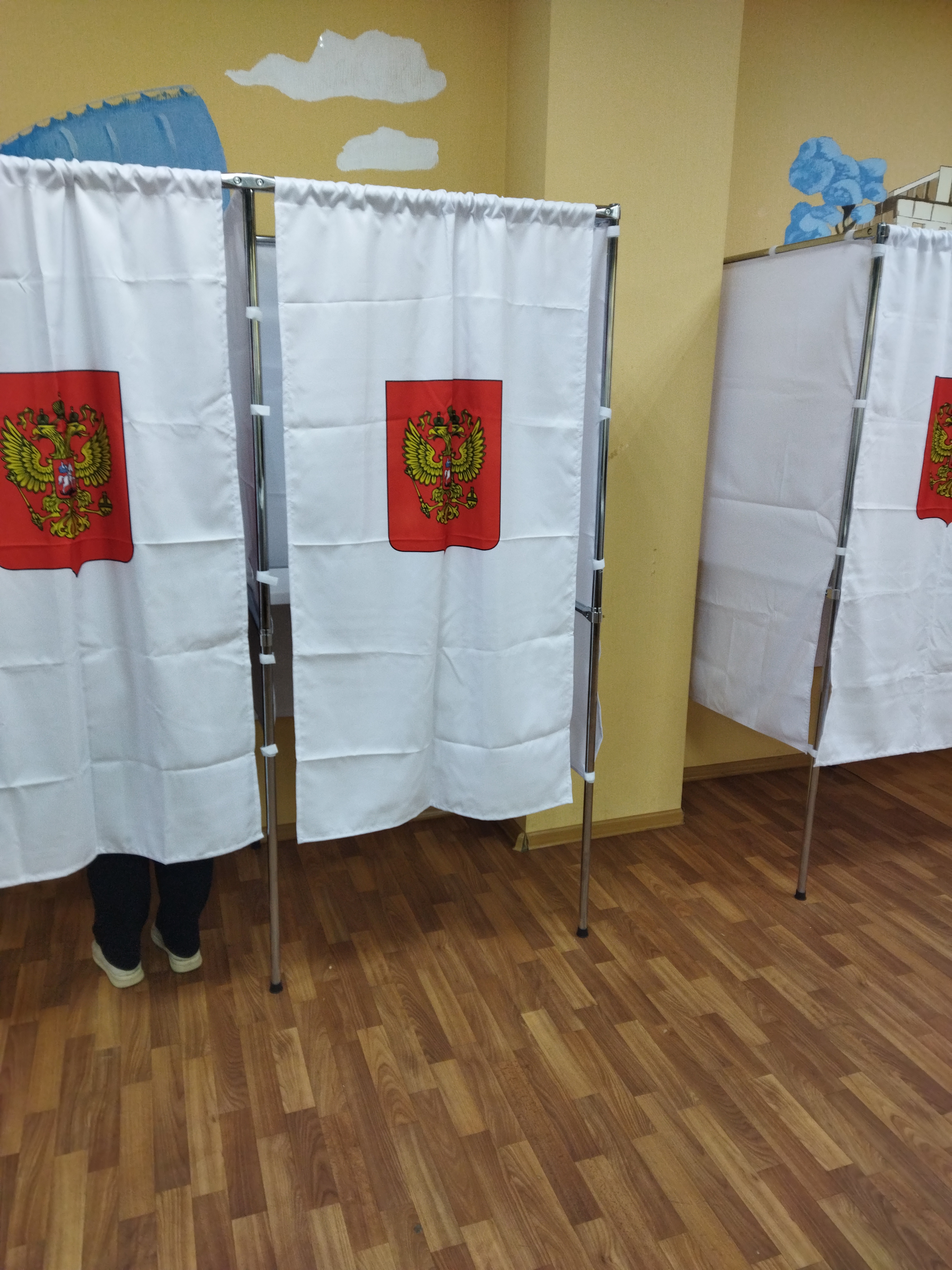 Сообщение — УИК №3091, Московская область