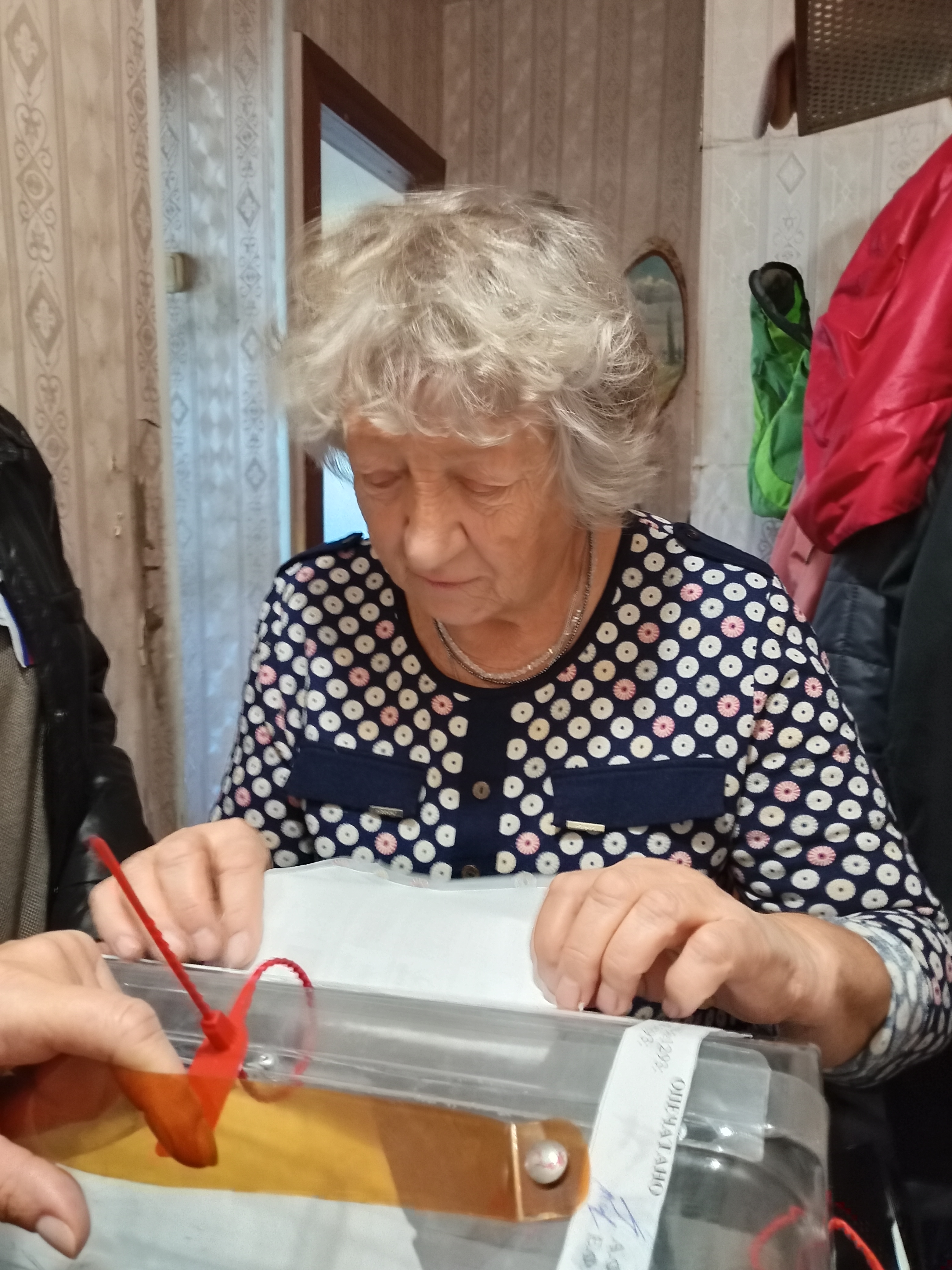 Сообщение — УИК №1293, Челябинская область