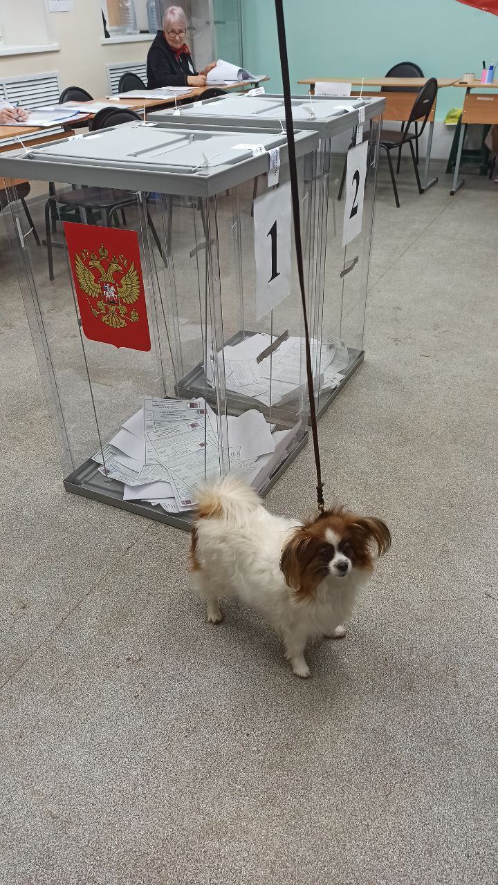 Сообщение наблюдателя — УИК №257, Саратовская область