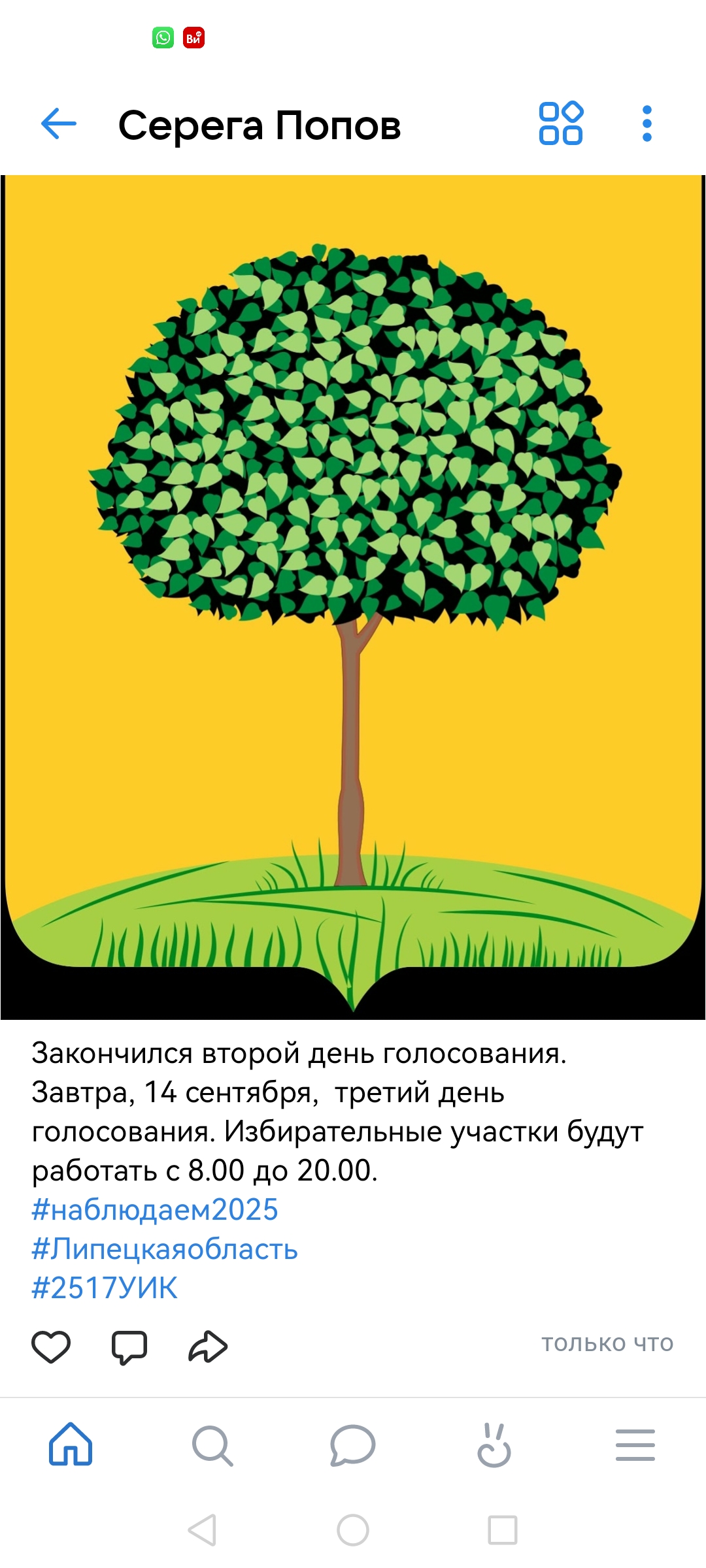 Сообщение наблюдателя — УИК №2517, Липецкая область