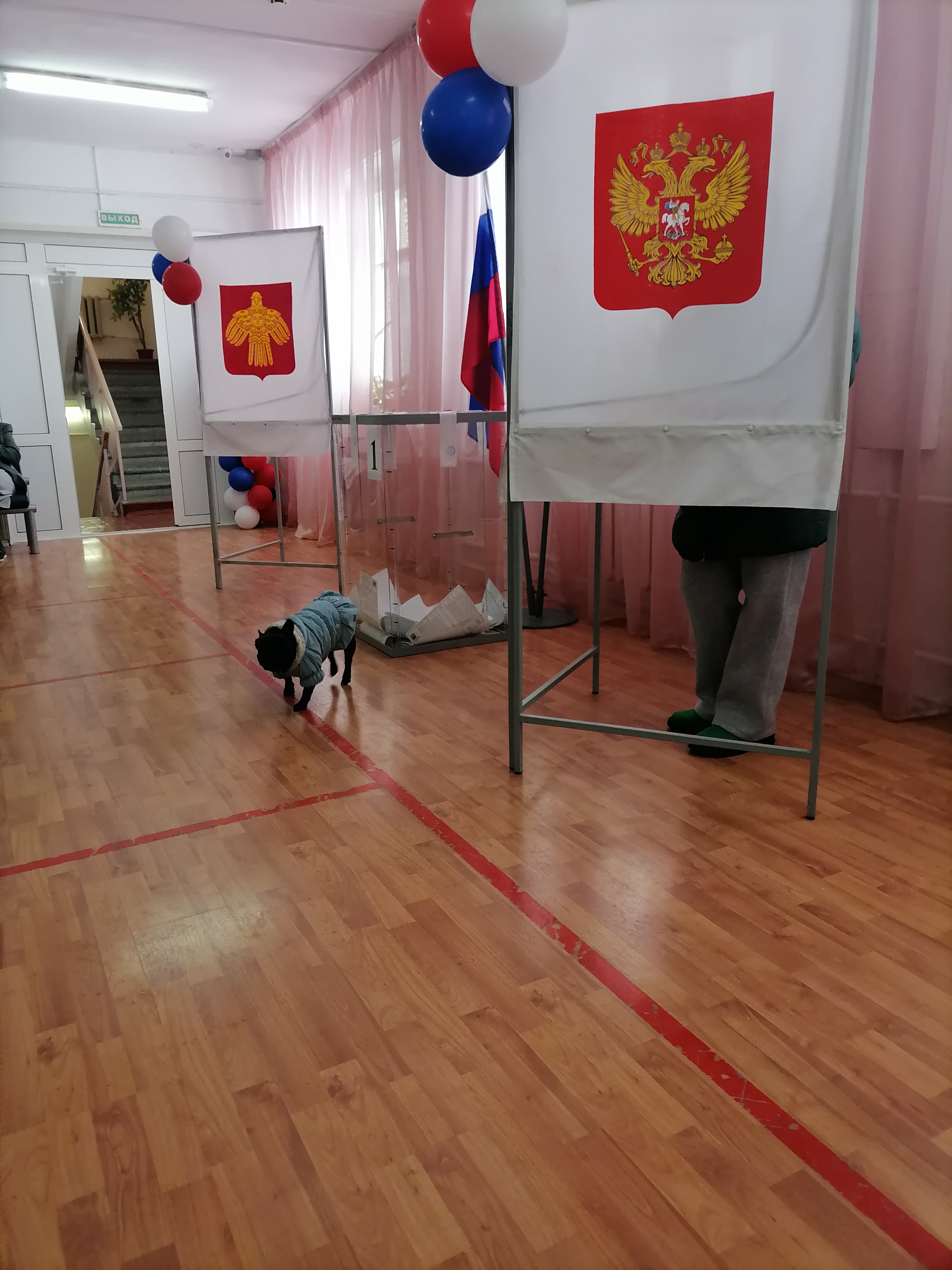 Сообщение наблюдателя — УИК №117, Республика Коми