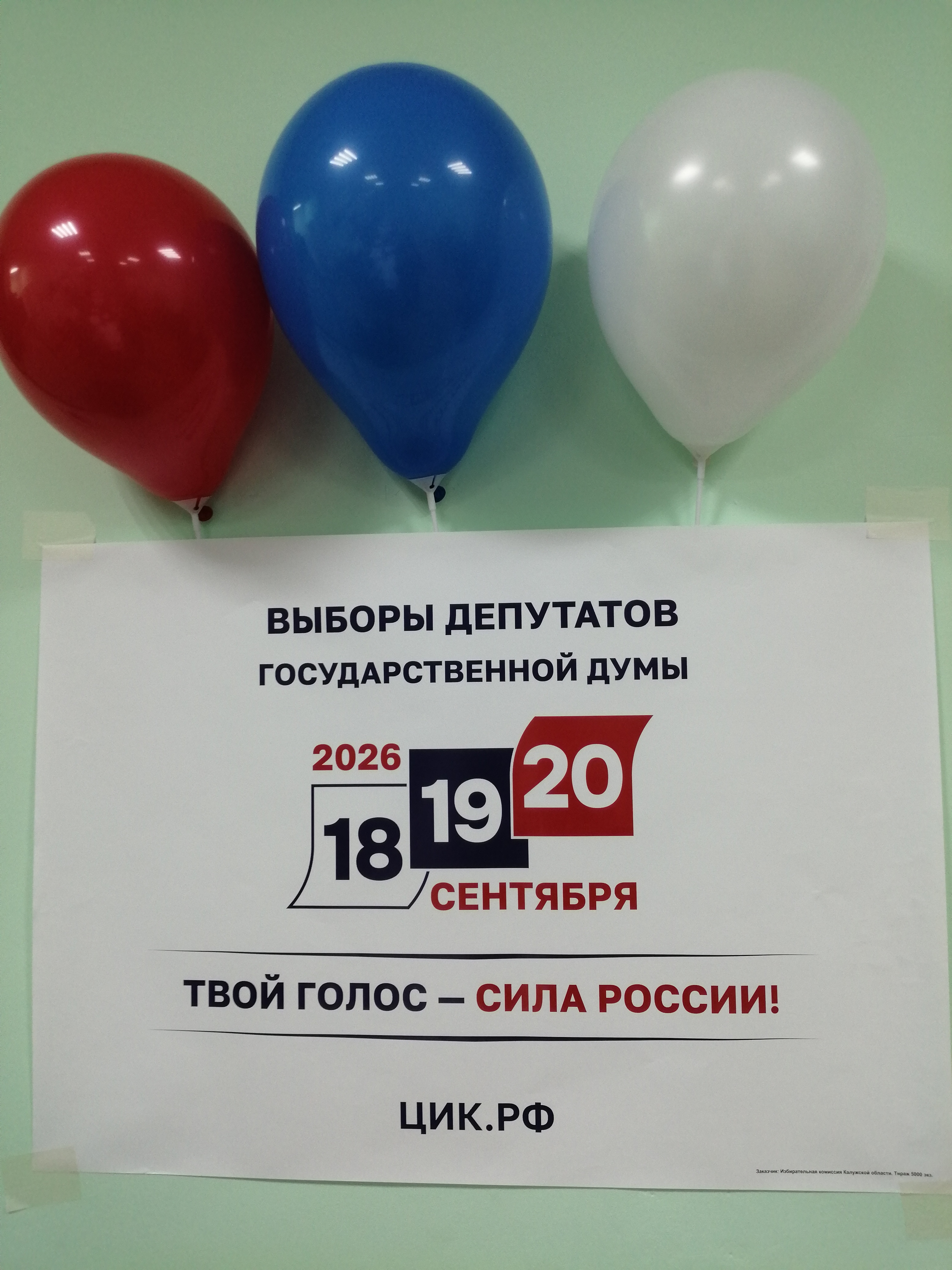 Сообщение — УИК №316, Калужская область