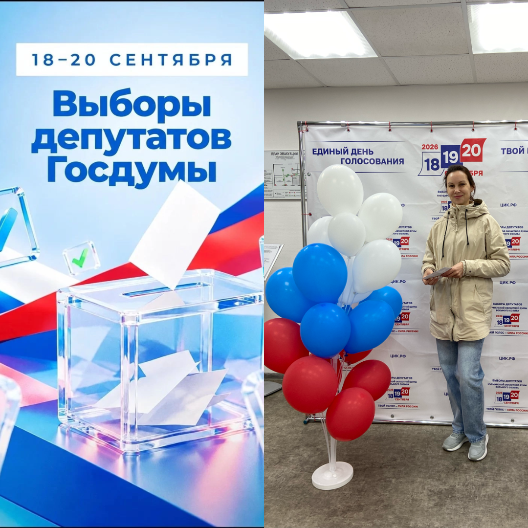Сообщение — УИК №304, Мурманская область