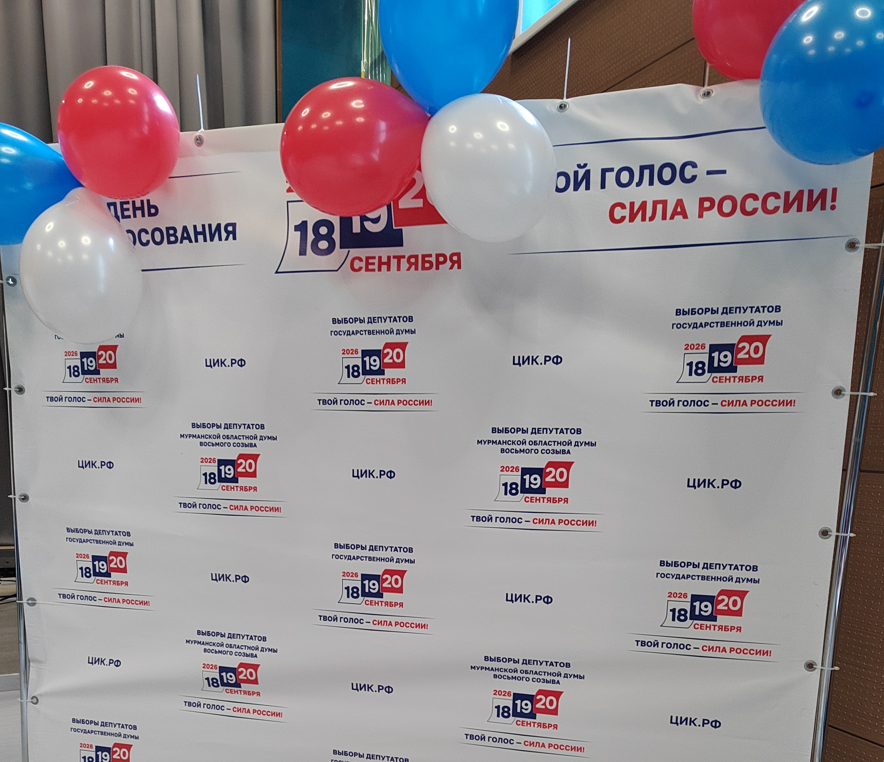 Сообщение — УИК №210, Мурманская область