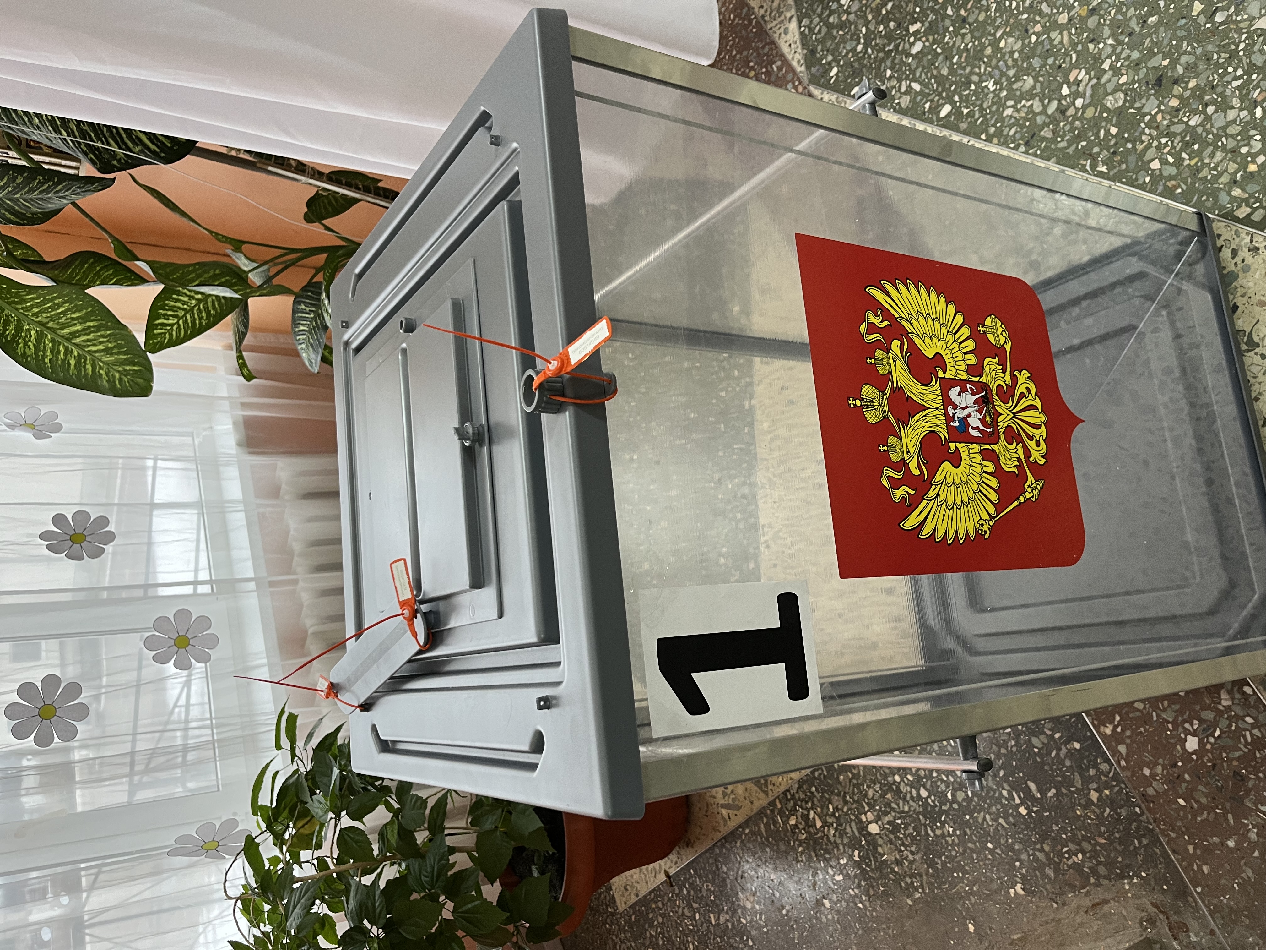 Сообщение наблюдателя — УИК №445, Белгородская область