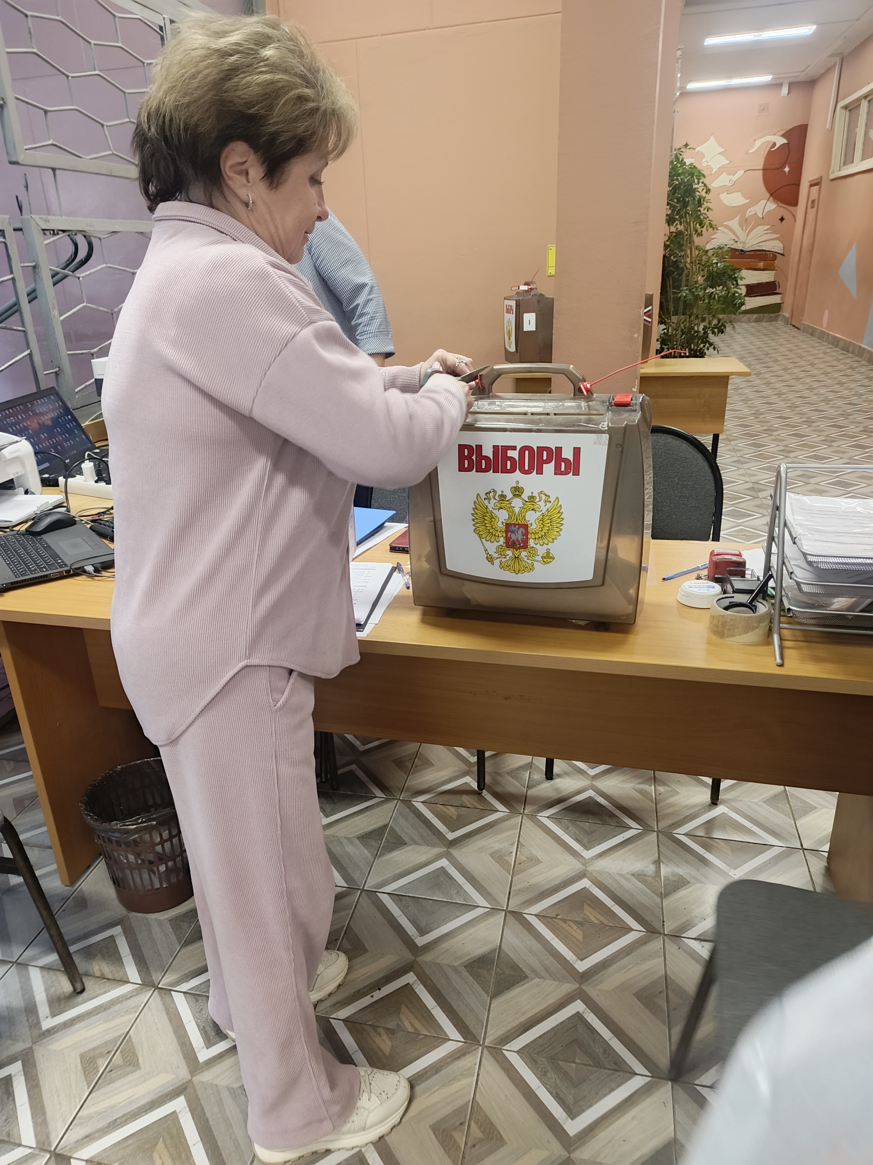 Сообщение — УИК №356, Московская область