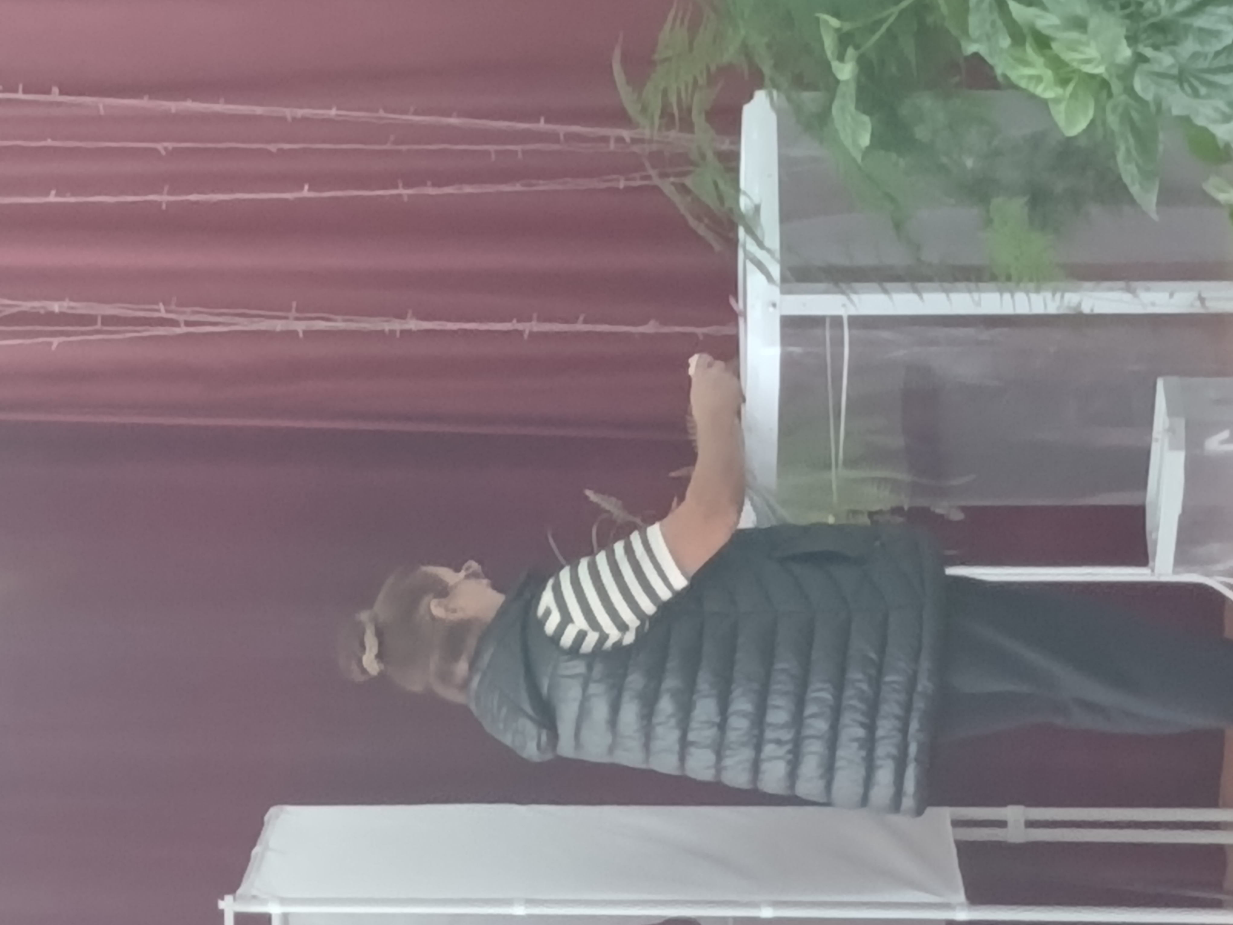 Сообщение — УИК №1411, Саратовская область