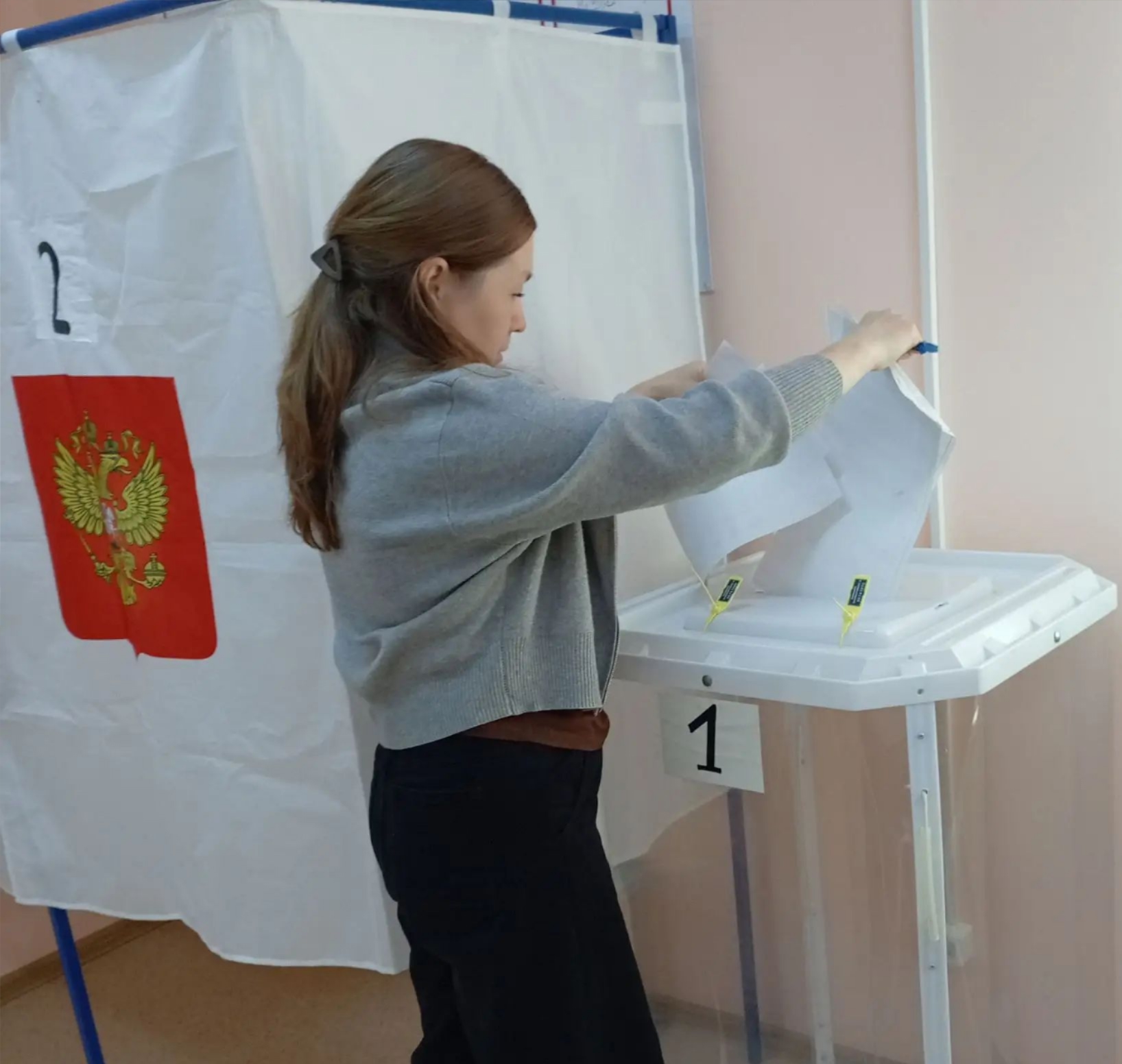 Сообщение — УИК №2733, Чувашская Республика — Чувашия