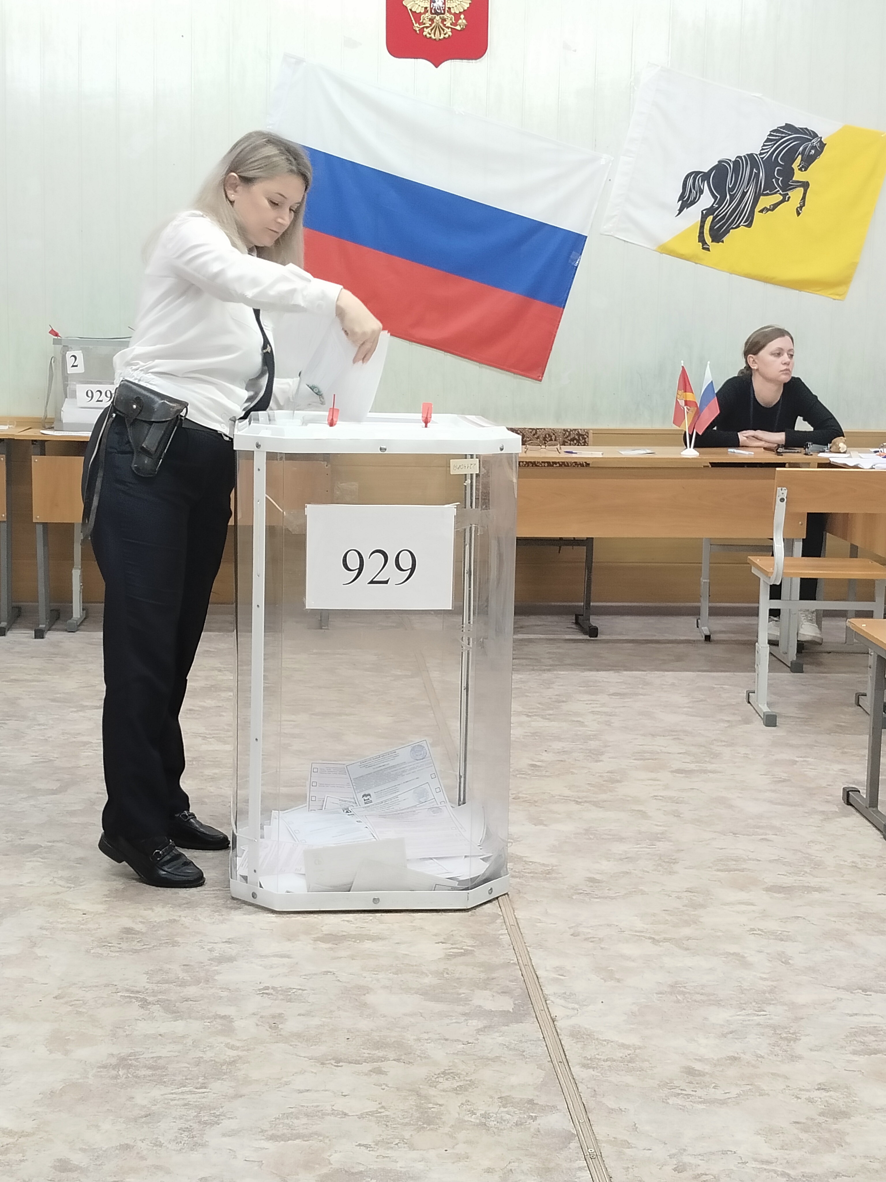 Сообщение наблюдателя — УИК №929, Челябинская область