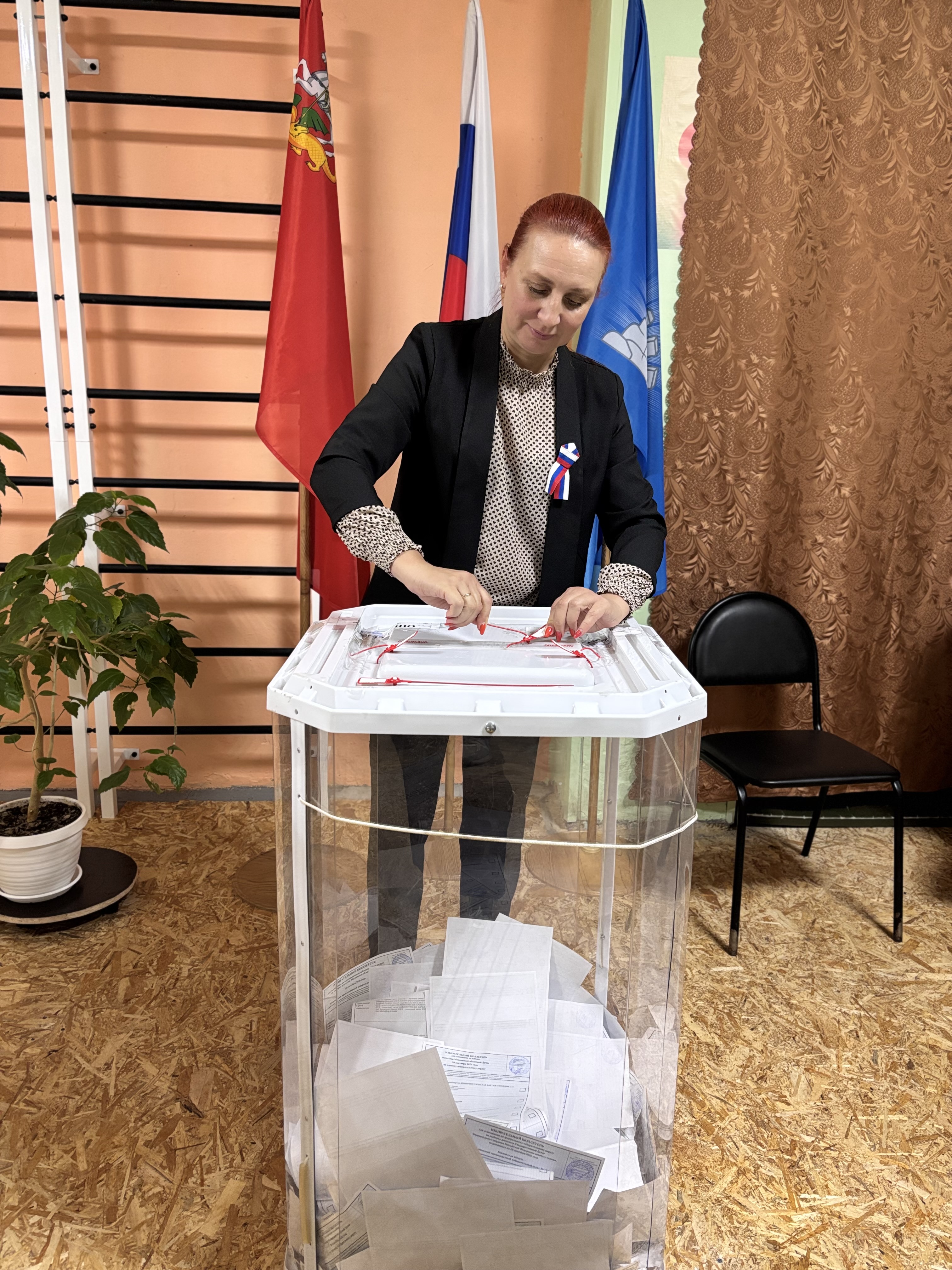 Сообщение — УИК №663, Московская область