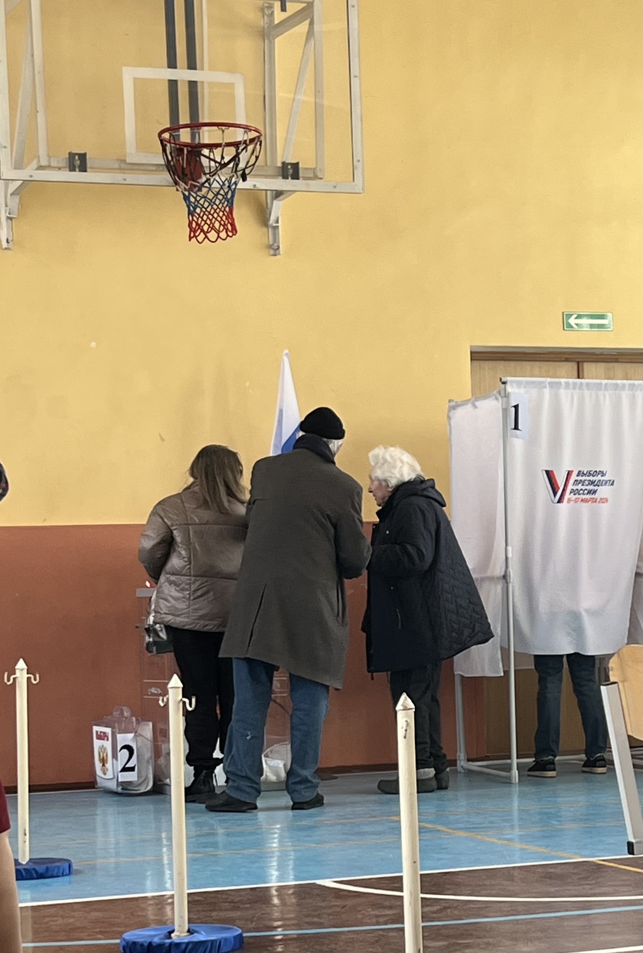 Сообщение наблюдателя — УИК №1233, Московская область