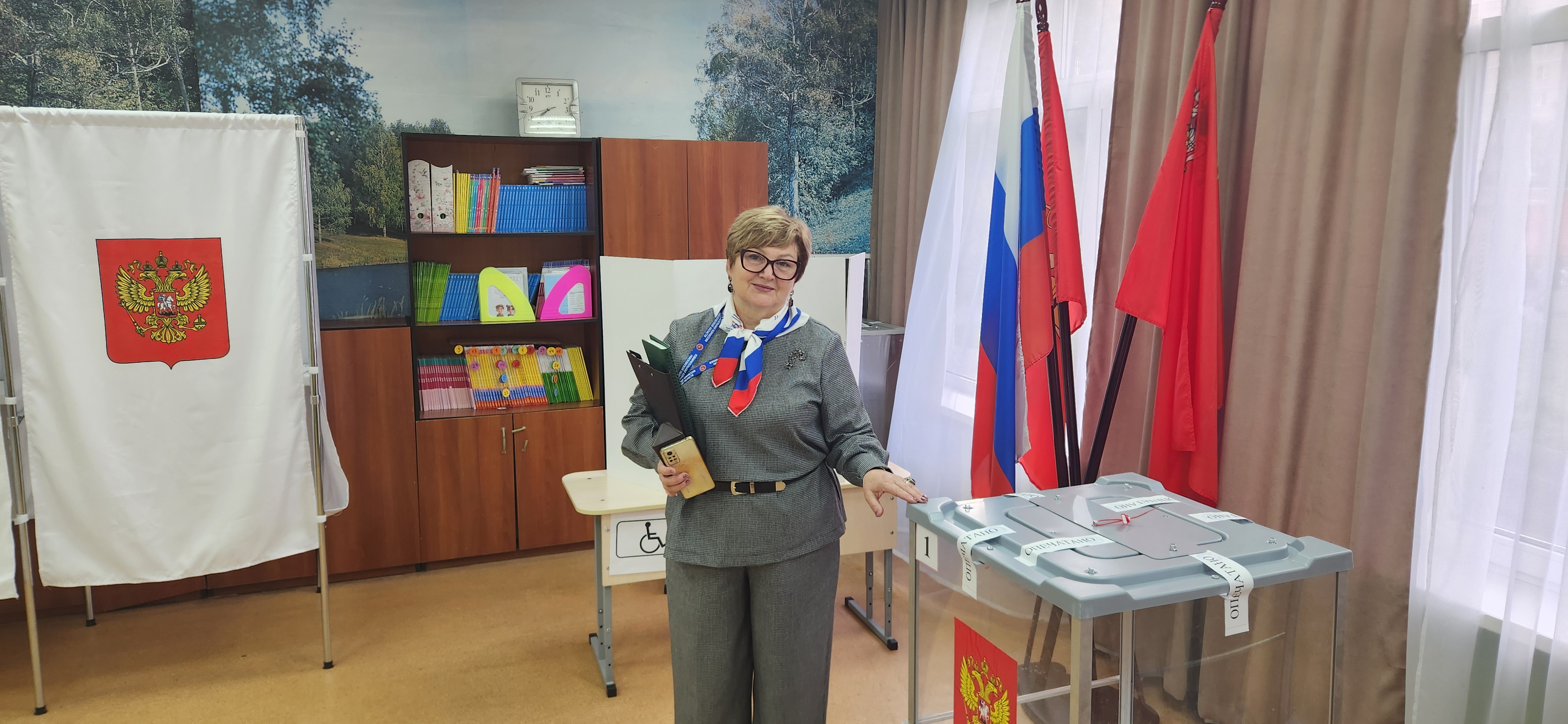 Сообщение — УИК №3531, Московская область