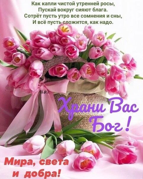 Сообщение наблюдателя — УИК №2625, Самарская область