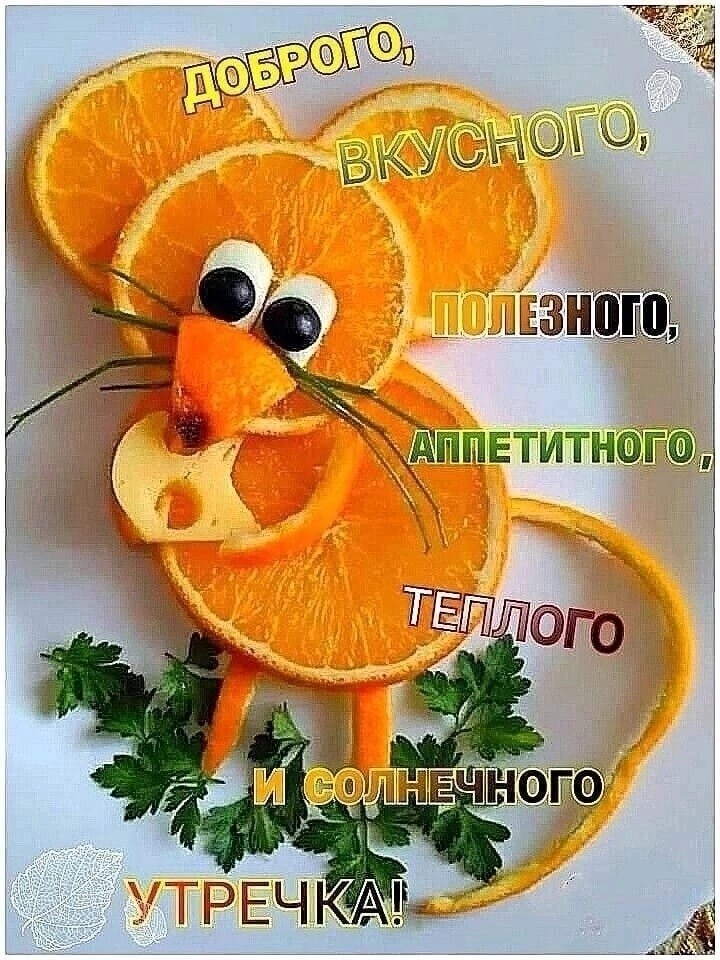 Сообщение наблюдателя — УИК №305, Ивановская область