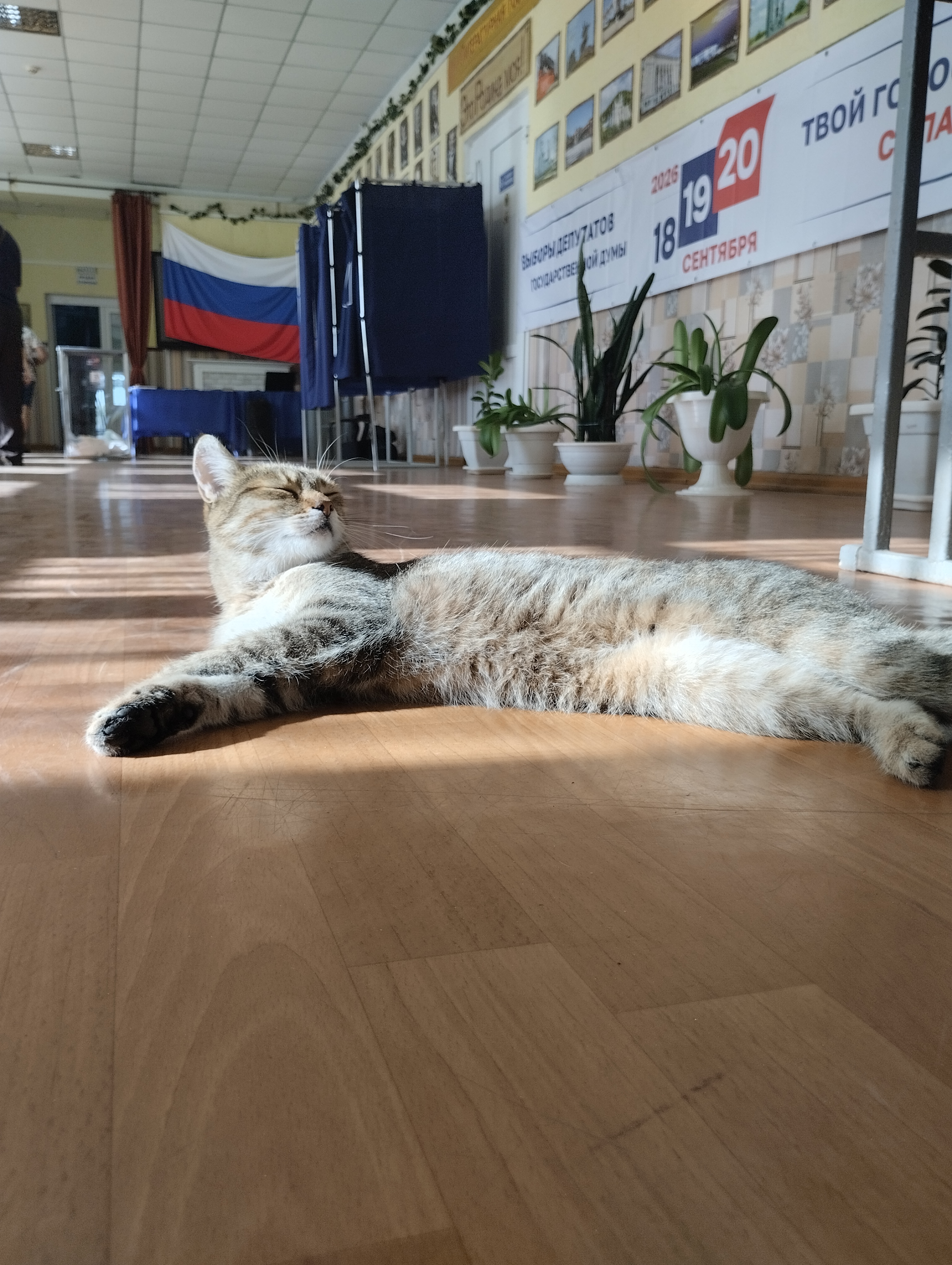 Сообщение — УИК №1, Луганская Народная Республика